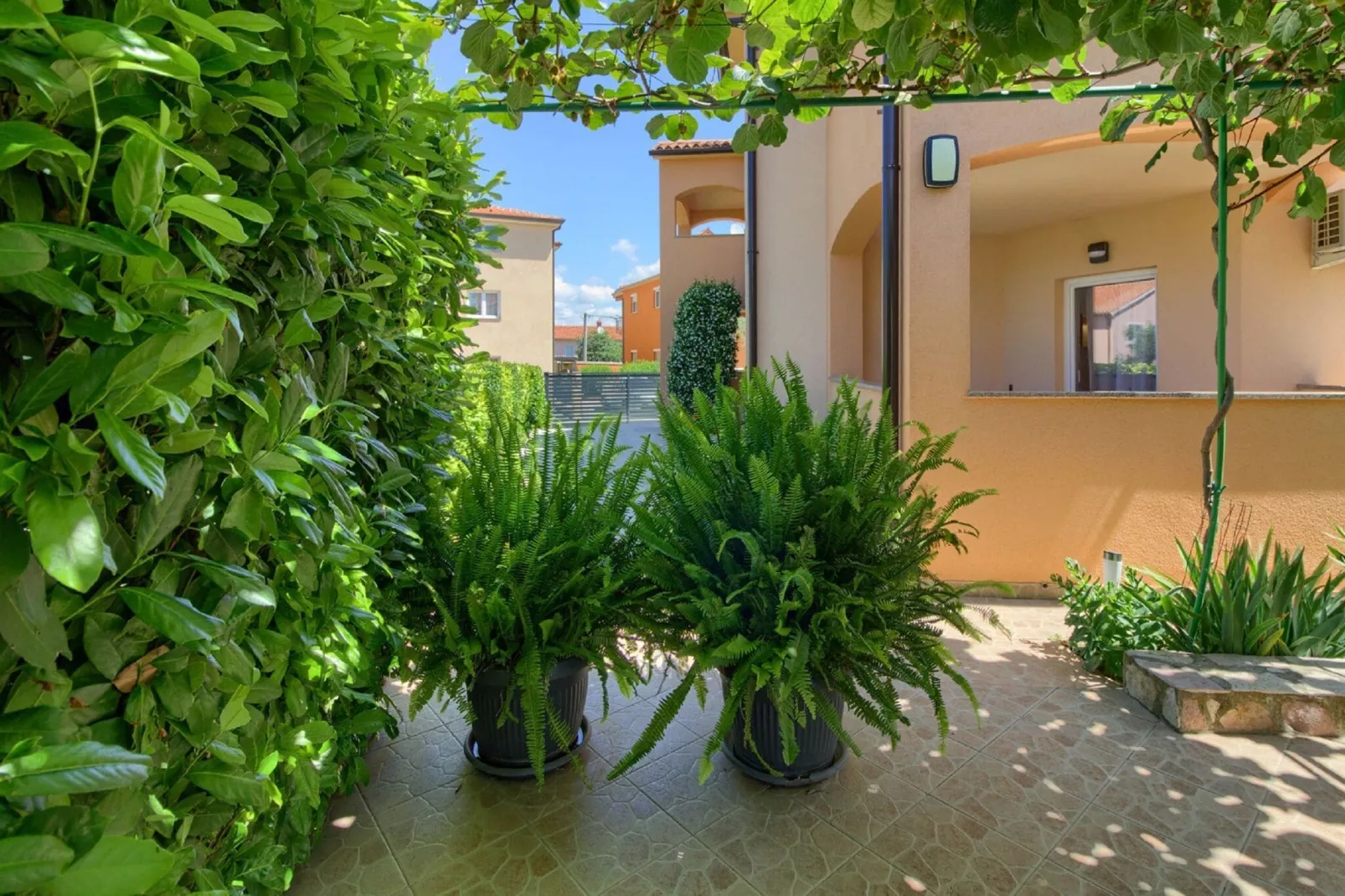 Villa Mimoza-Ambiente
