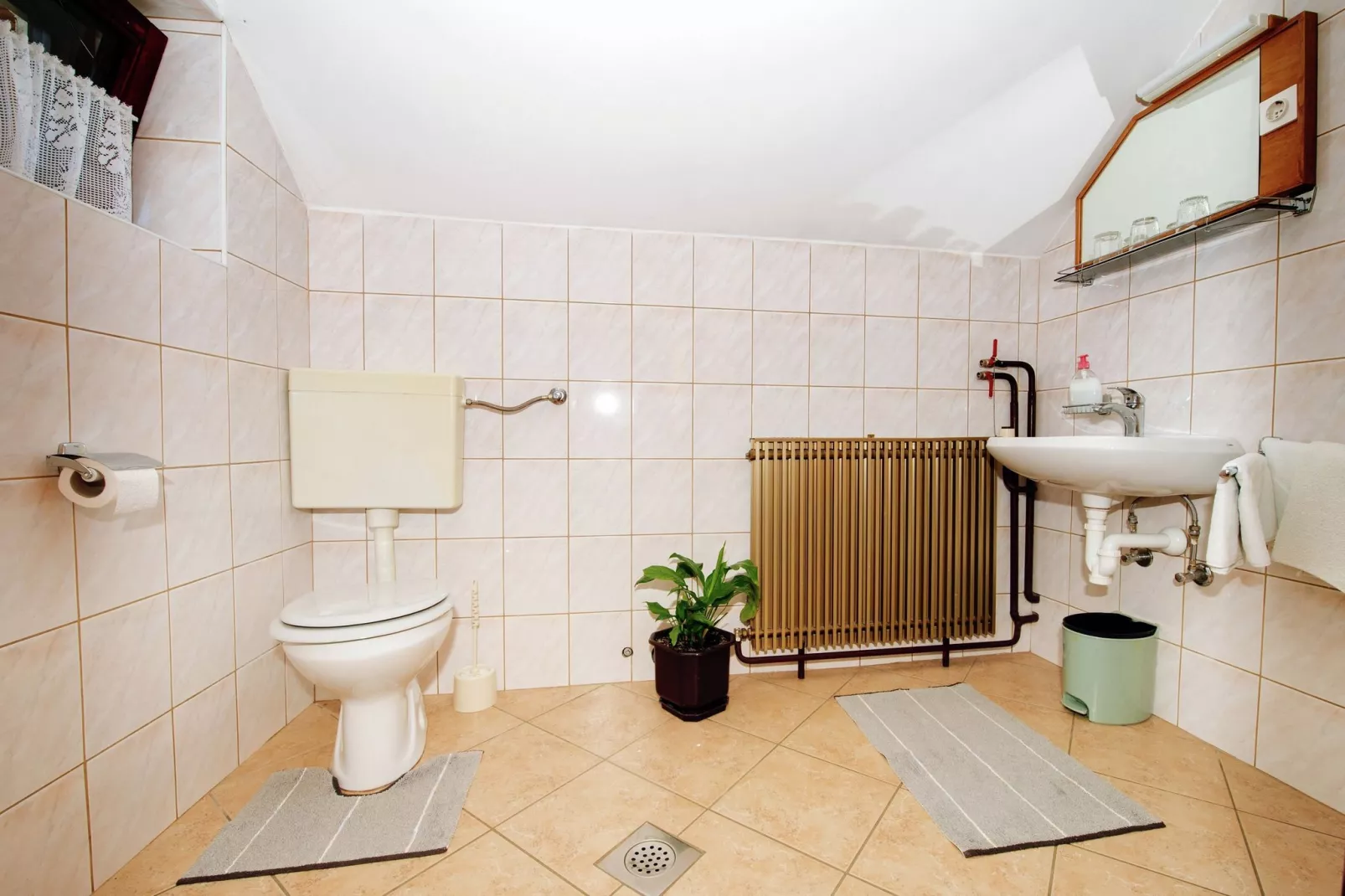 Holiday house Lovinac-Bathroom