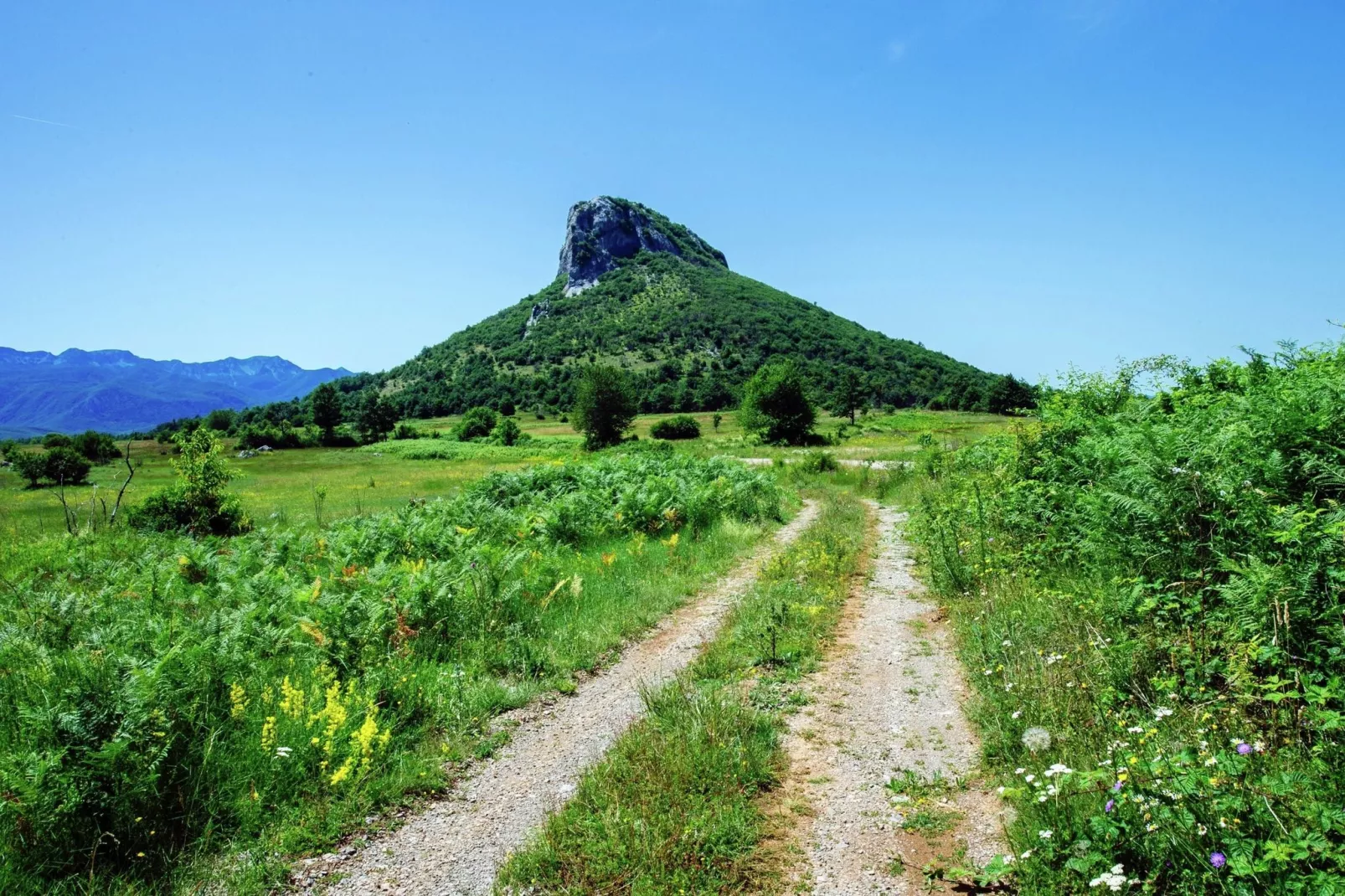 Vacation house Anka-Areas summer 5km