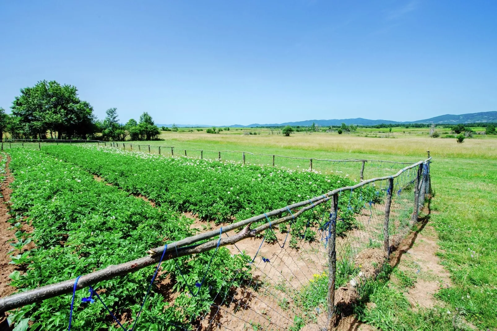 Vacation house Anka-Areas summer 5km