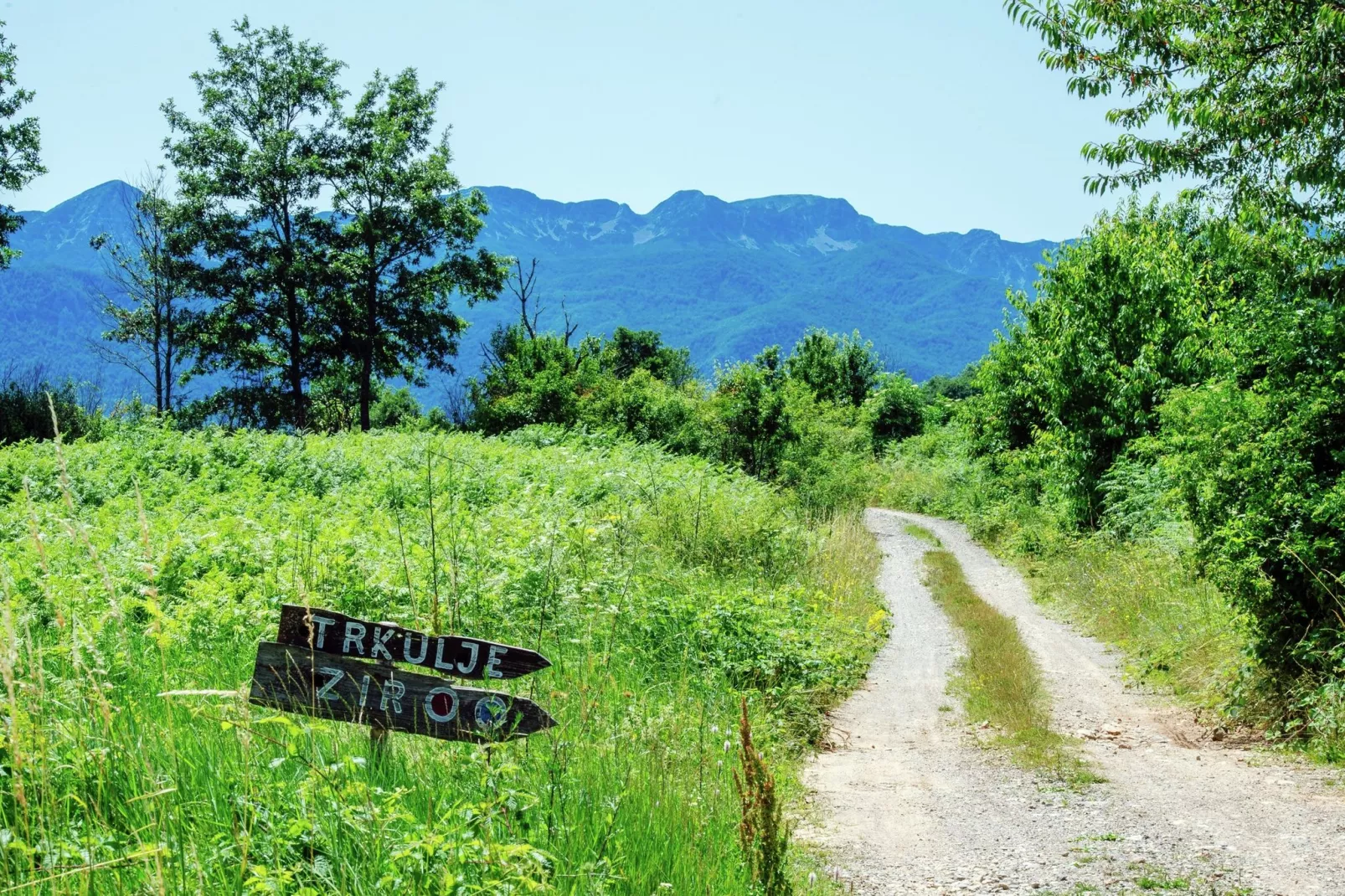 Vacation house Anka-Areas summer 5km