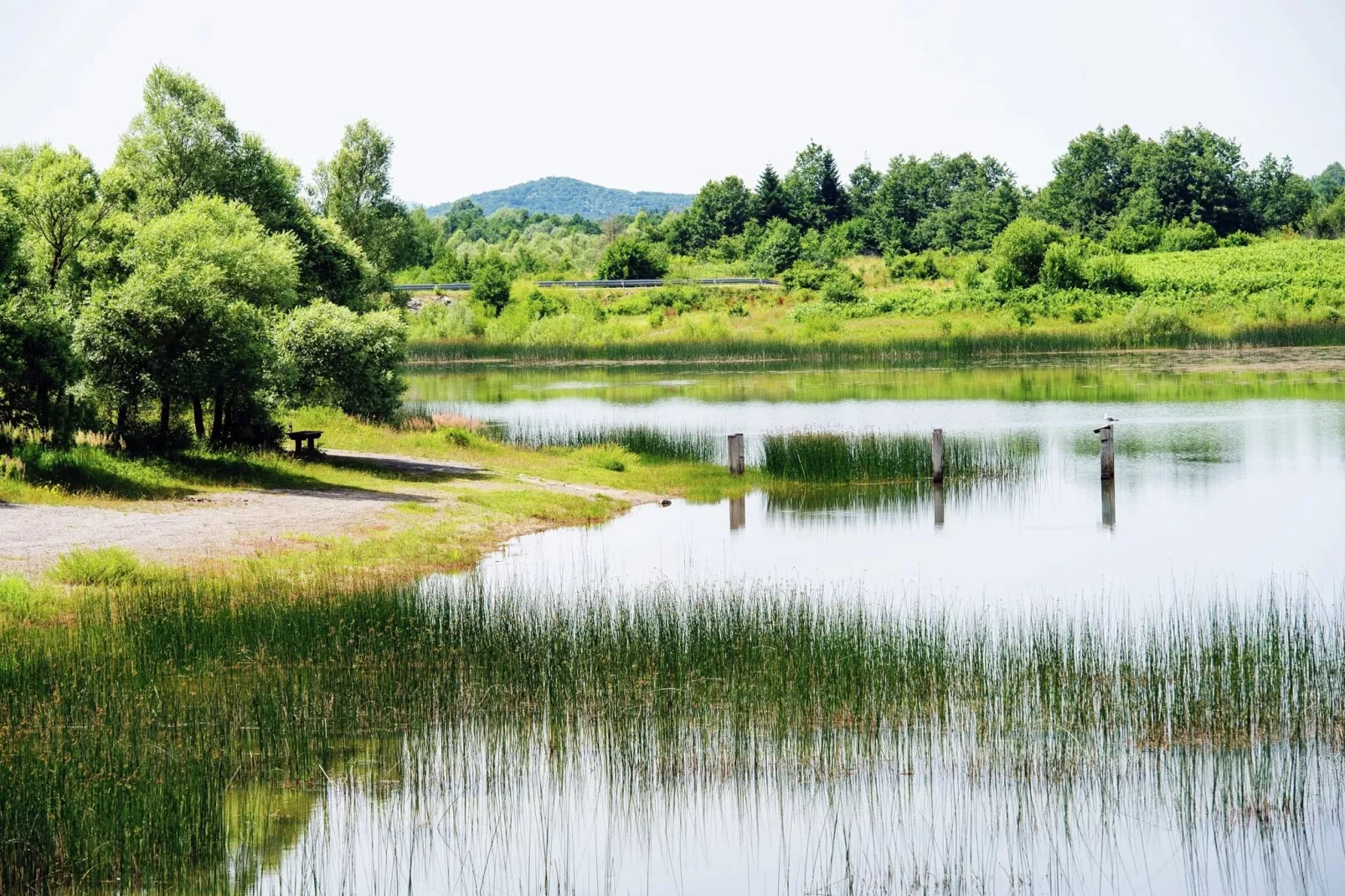 Vacation house Anka-Areas summer 5km