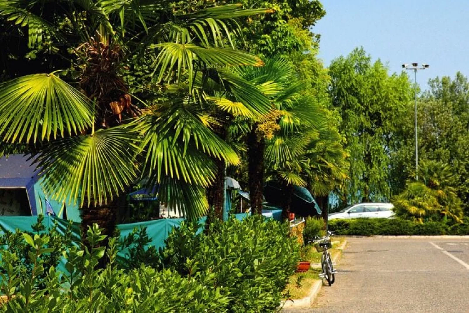 Residence Tiglio, Sirmione-bilo classic-Gardens summer