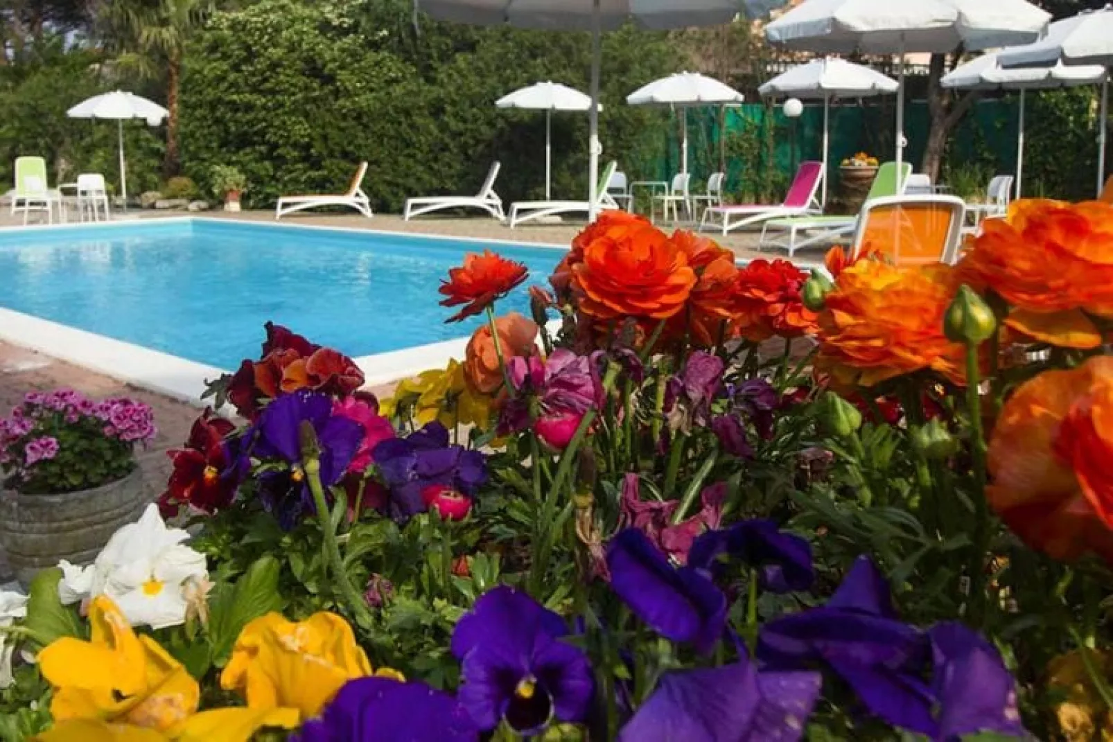 Villa Paola Loano - Type B6S-Pool