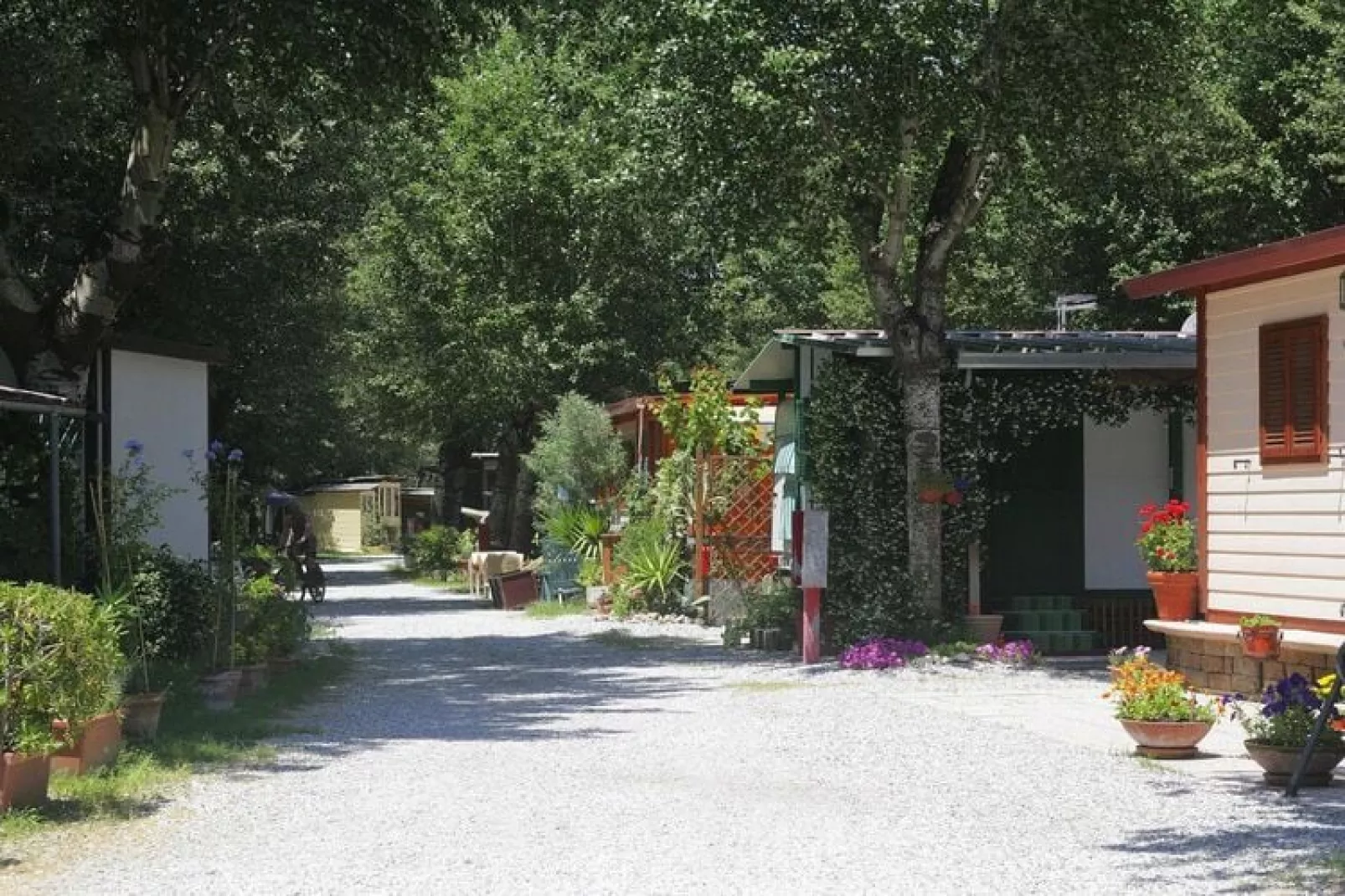 Caravanpark Marina 3B Sarzana - MH 4 Pax-Gardens summer
