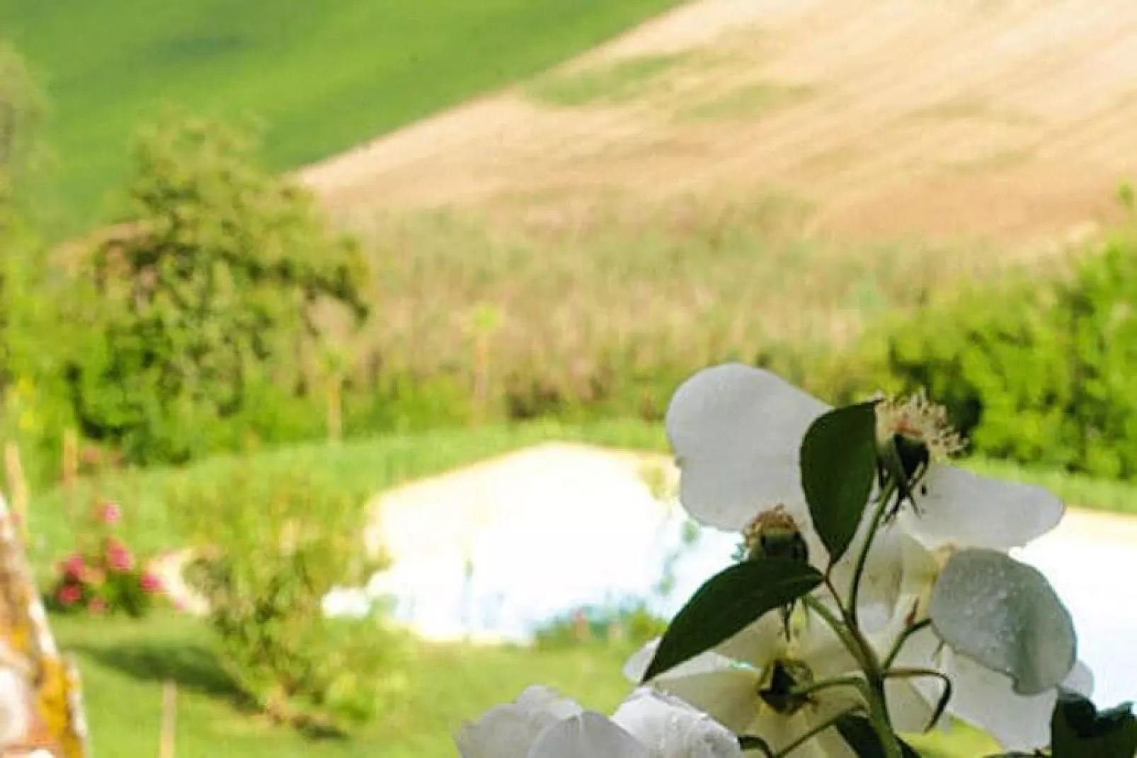 Holiday home Casale le Fontanelle, Monterado-Casa le Fontanelle-Gardens summer