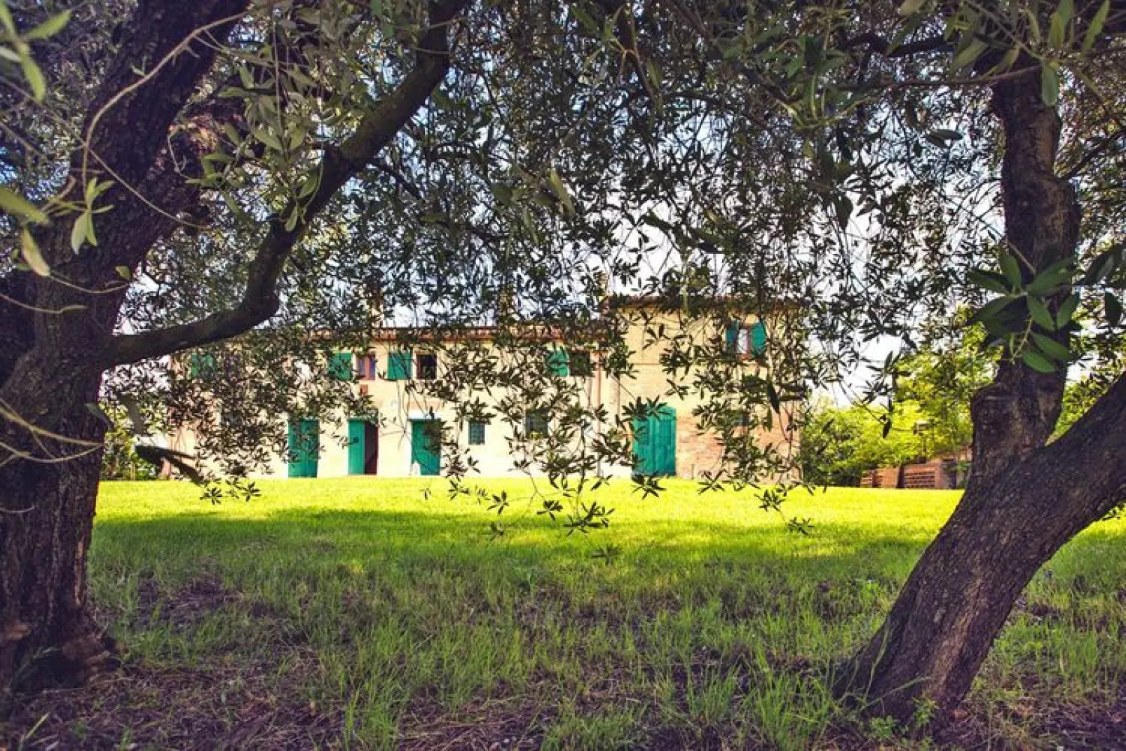 Holiday home Casale le Fontanelle, Monterado-Casa le Fontanelle-Gardens summer