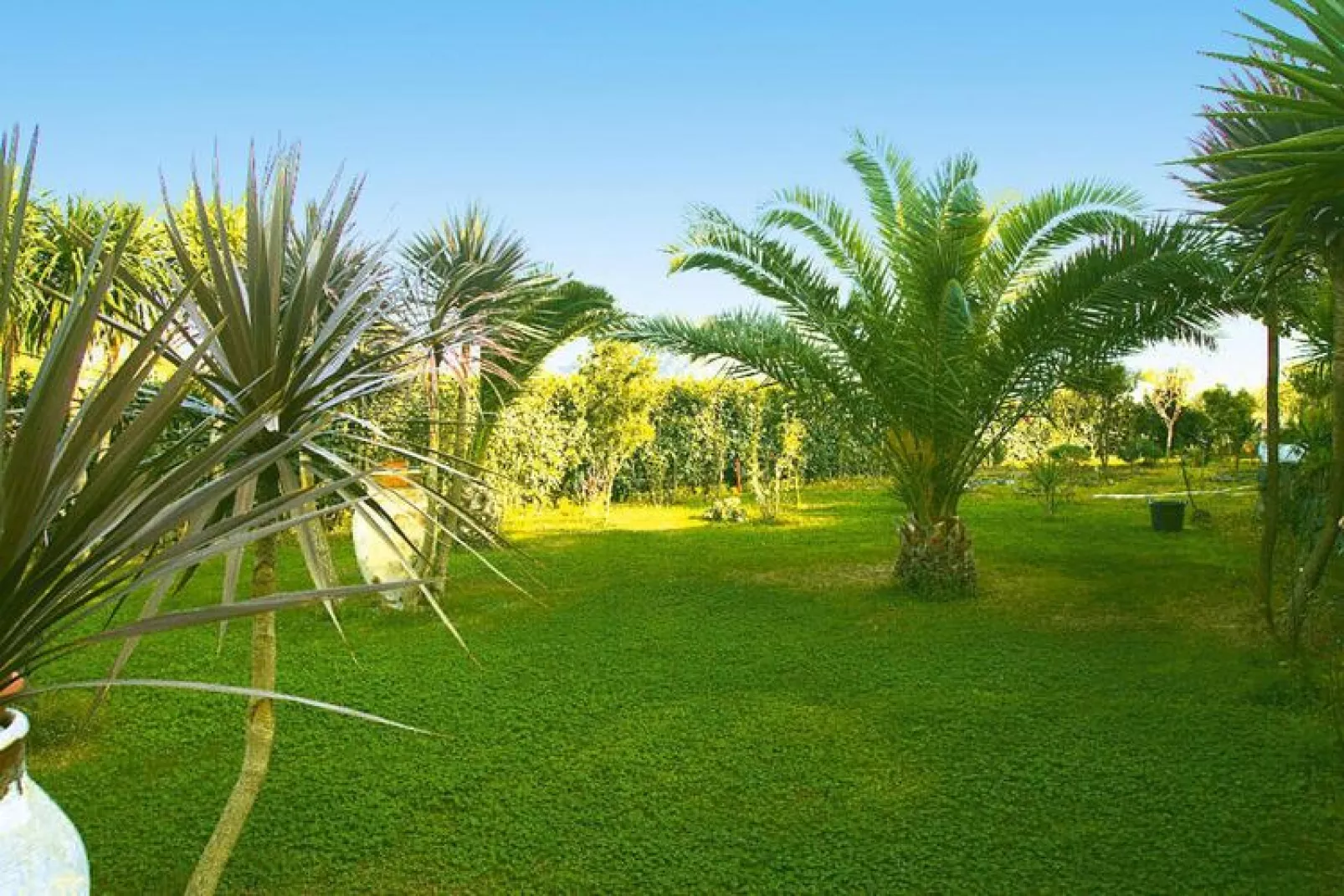 Holiday home Castiglione di Sicilia-Villa Jelú ex Villa Maria-Jardin d'été