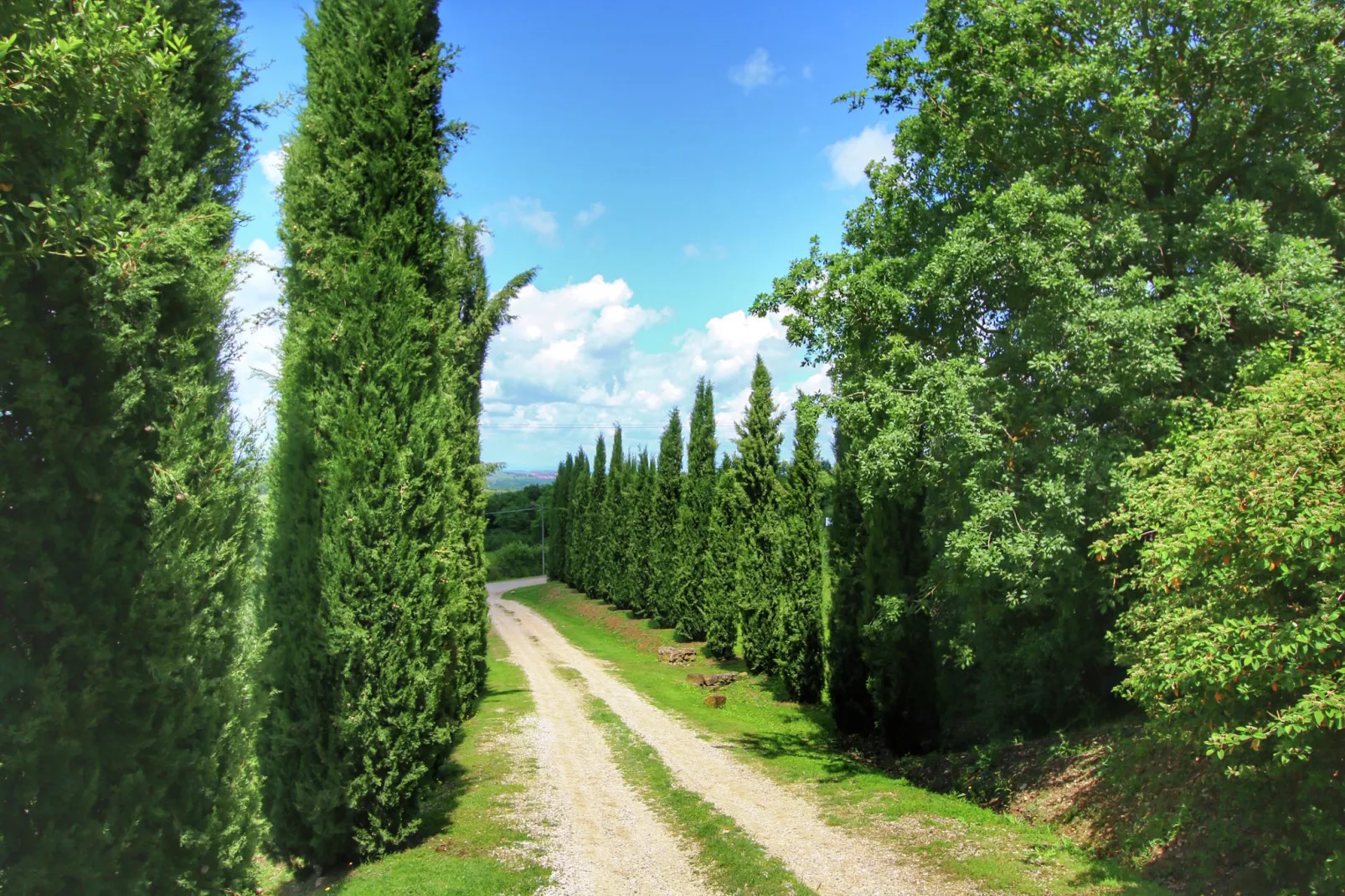 Casa Tiglio-Areas summer 1km