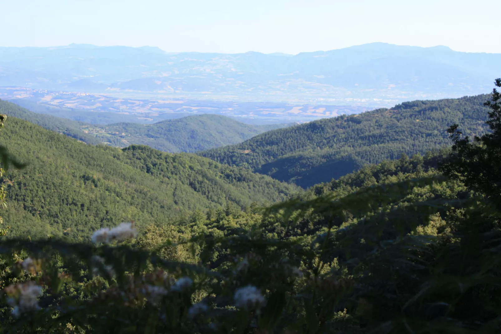 La Pergola-Areas summer 1km