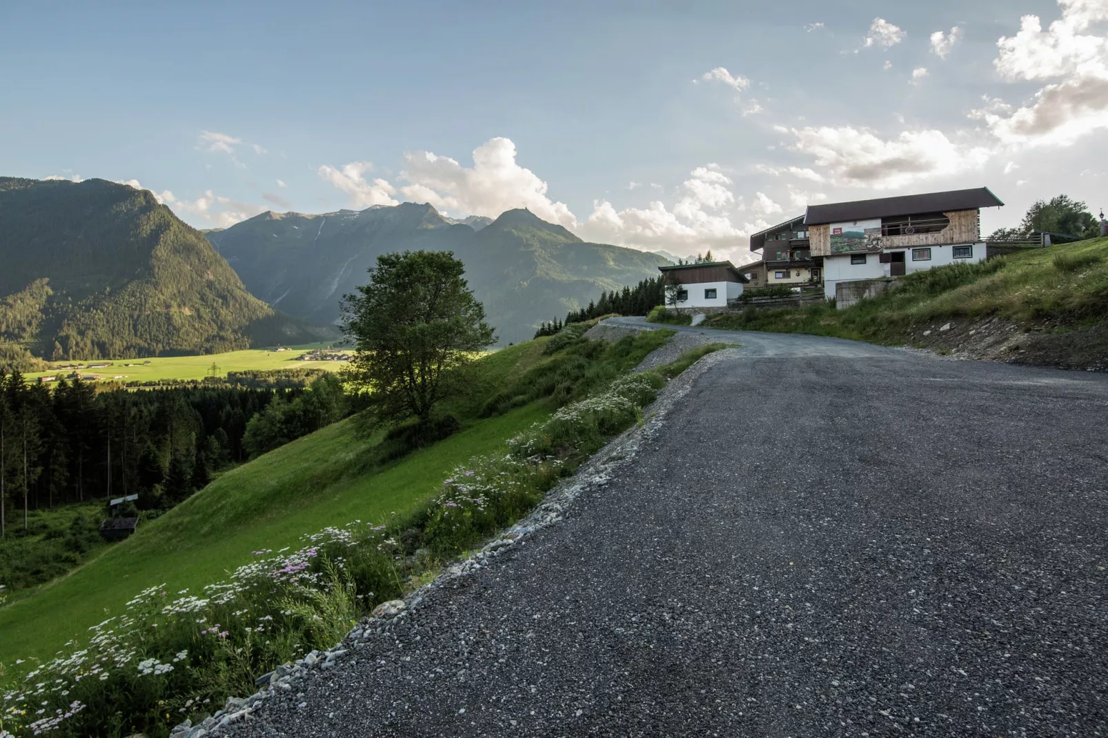 Nationalpark Chalet Schwarzes Hörndl-Gebiete Sommer 1 km
