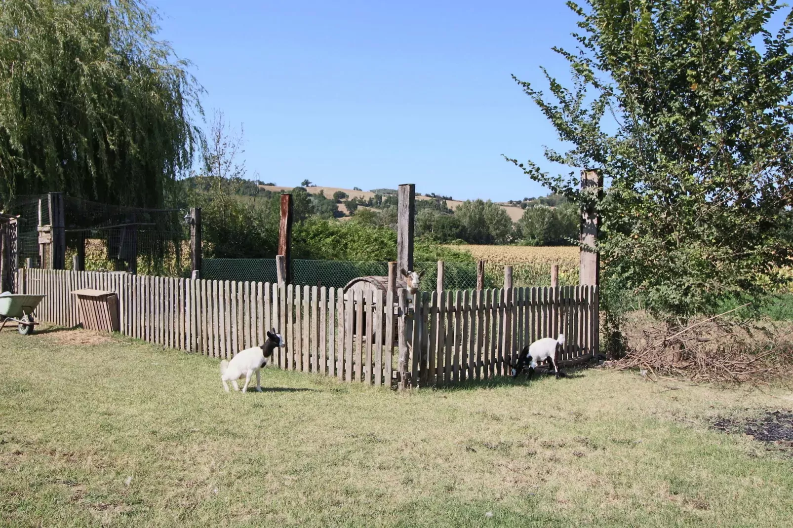 Casa Rufino-Installations