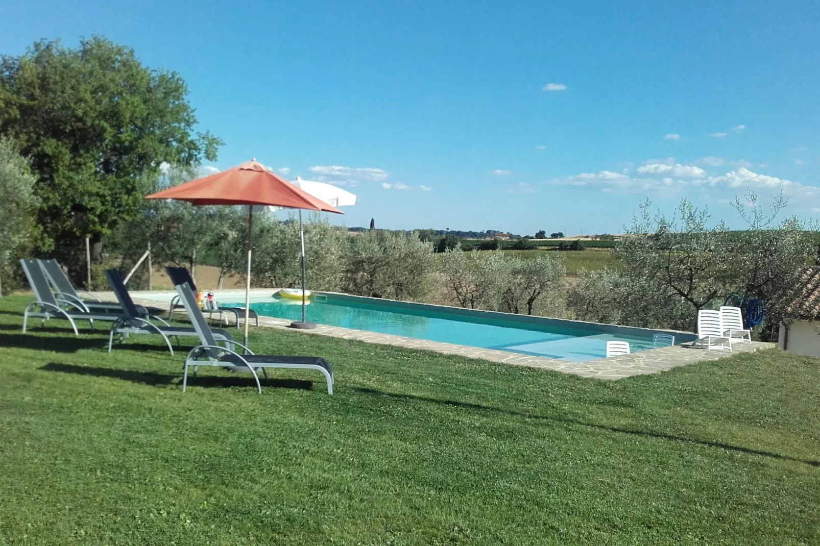 Sparsa Girasole-Gardens summer