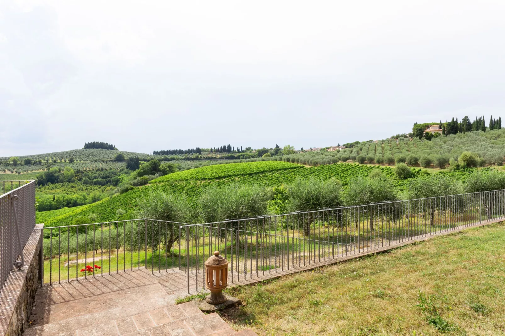 Toraio-View summer