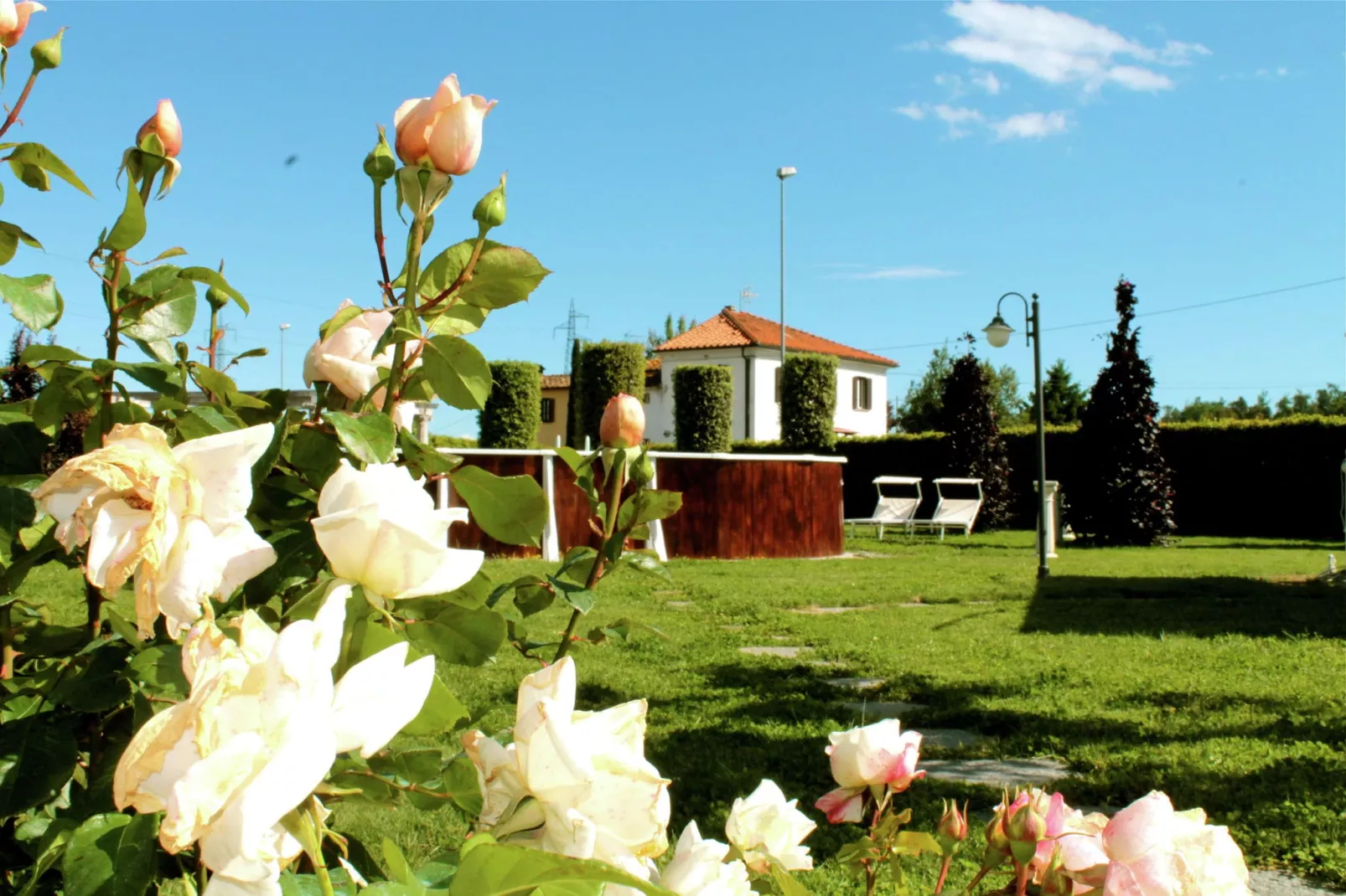 Montefiore-Gardens summer