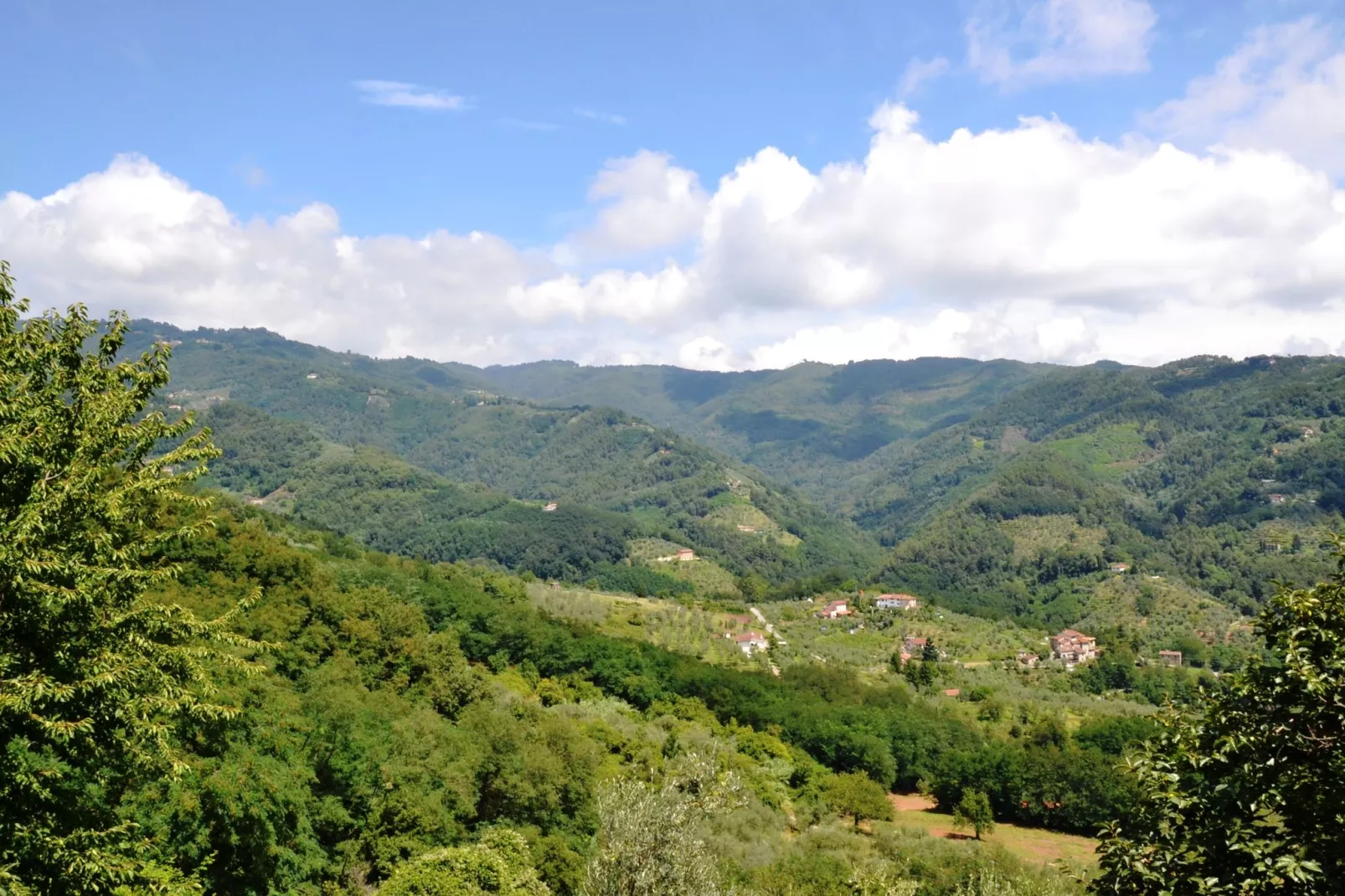 Montefiore-Areas summer 1km