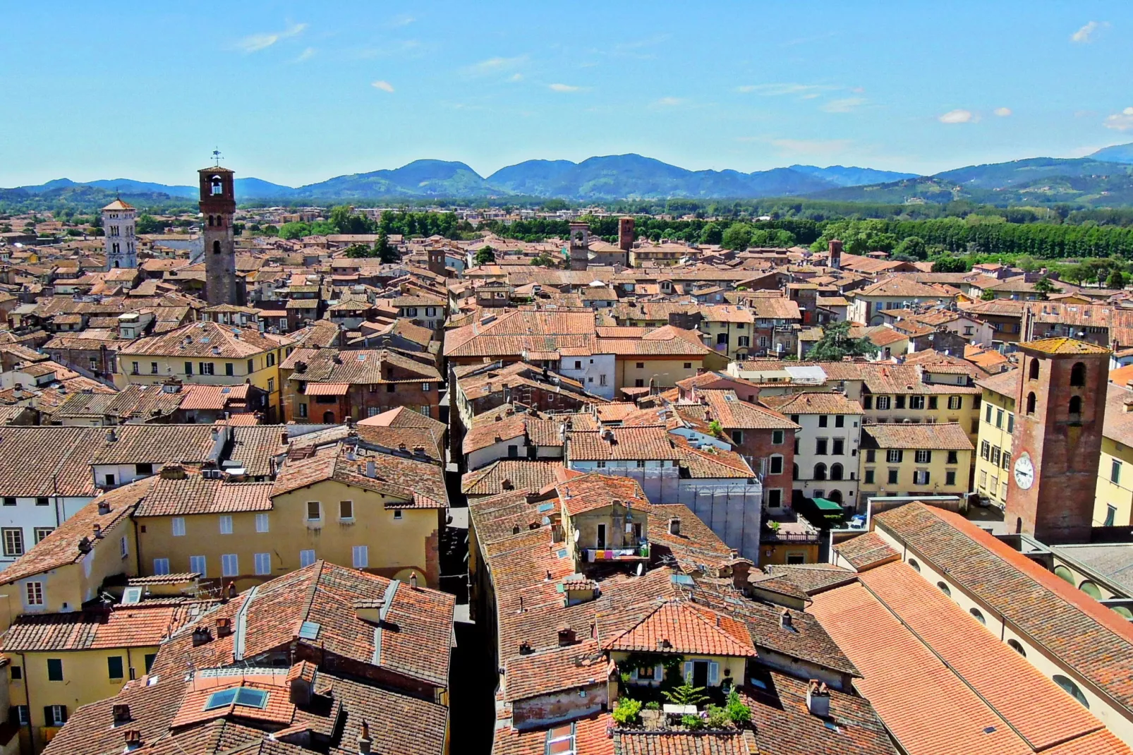 Montefiore-Areas summer 20km
