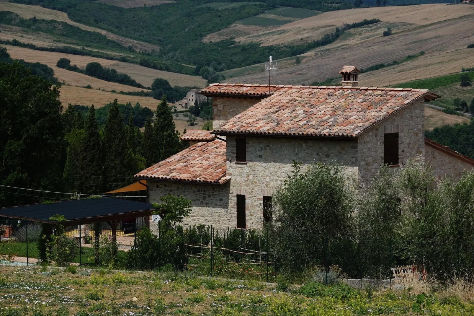 Villa Due Olive-Exterior summer