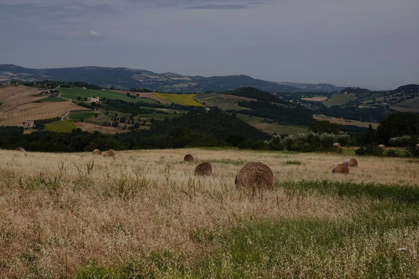 Villa Due Olive-Areas summer 1km