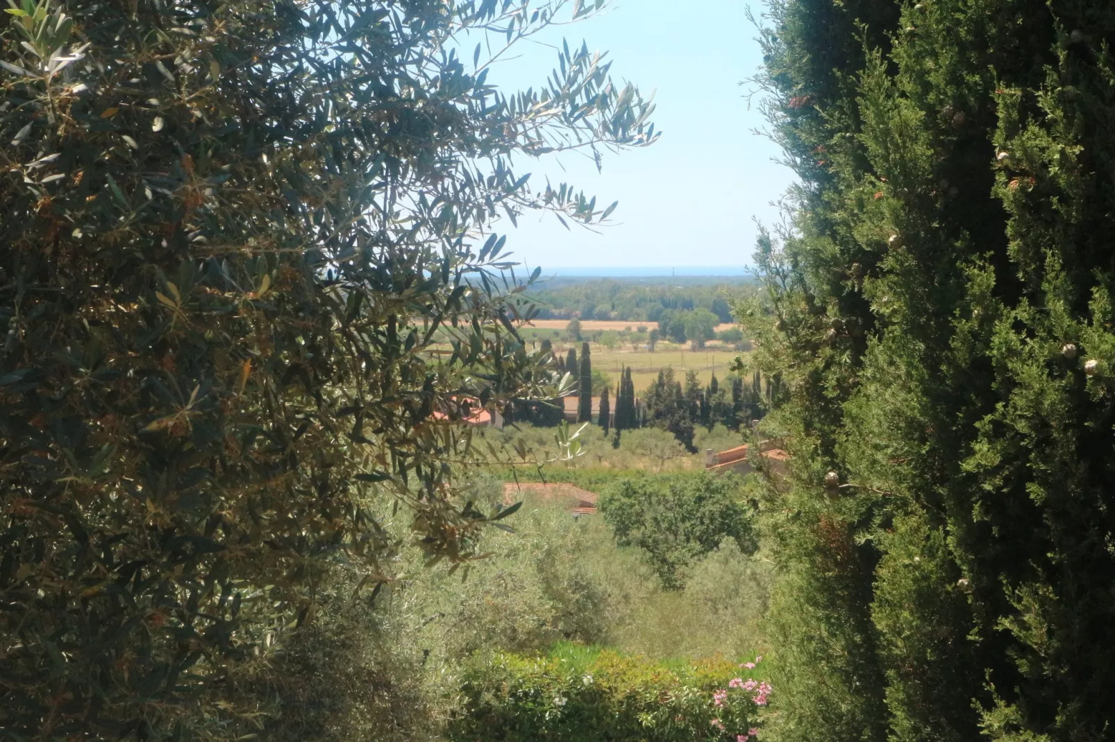 Lidia-View summer