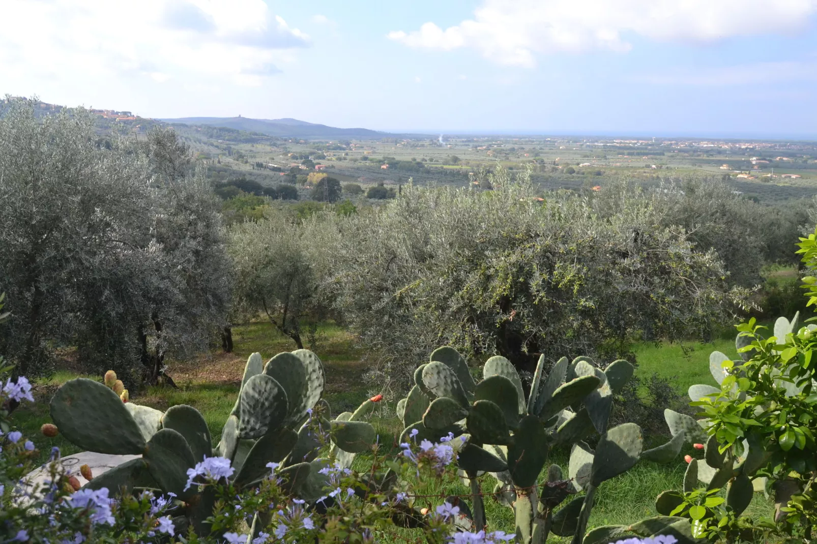 Lidia-View summer