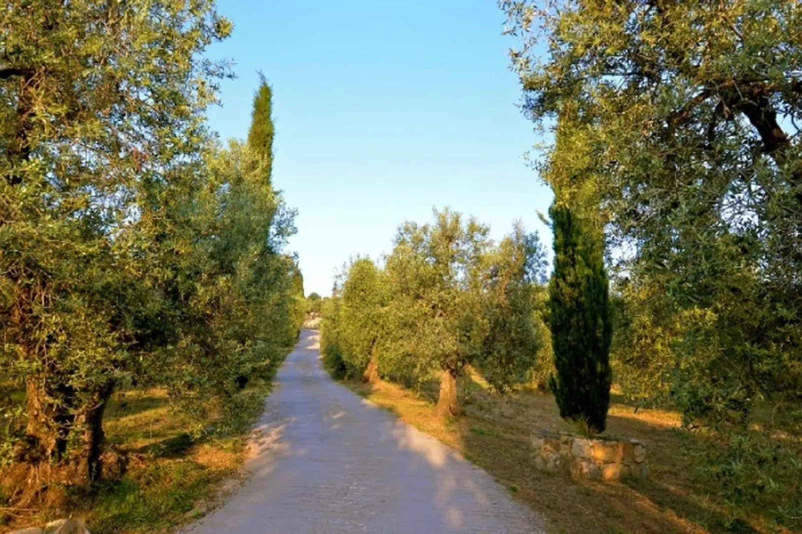 Lidia-Areas summer 1km
