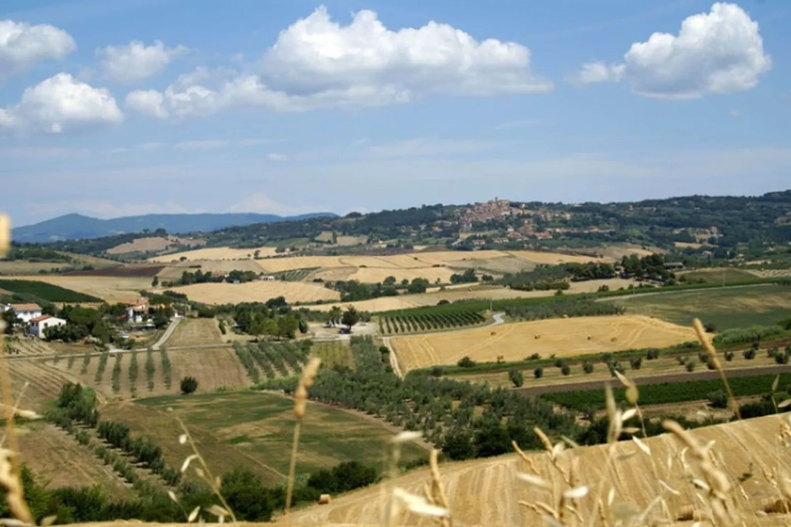 Lidia-Areas summer 20km