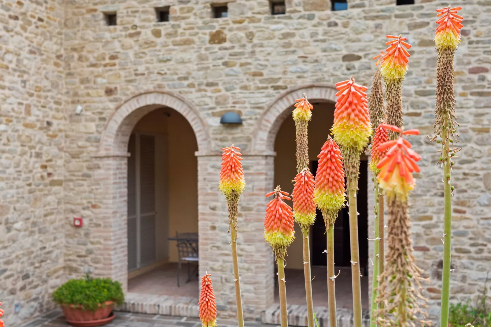 Calfattore-Terrace balcony