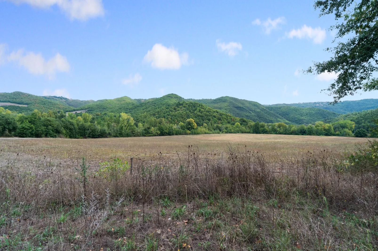 Bilocale-View summer