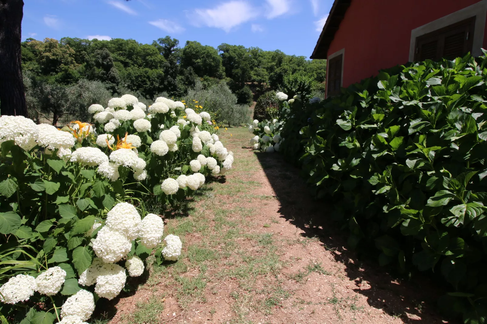 Villa Flavia-Gardens summer