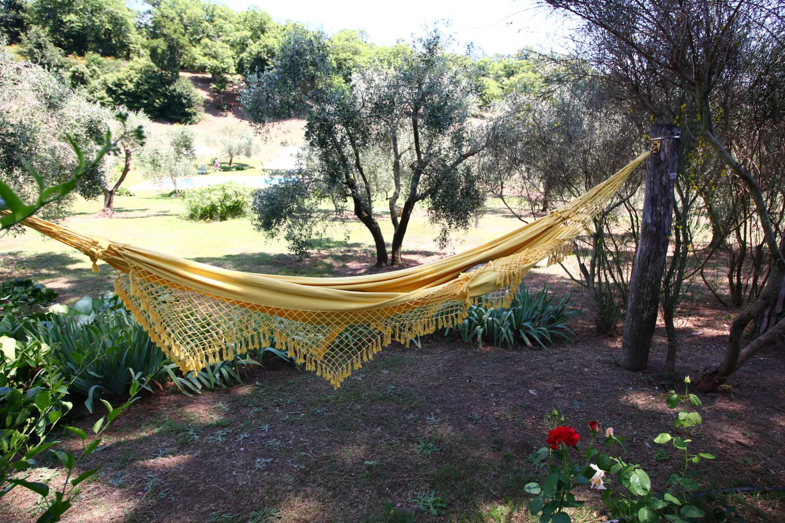 Villa Flavia-Gardens summer