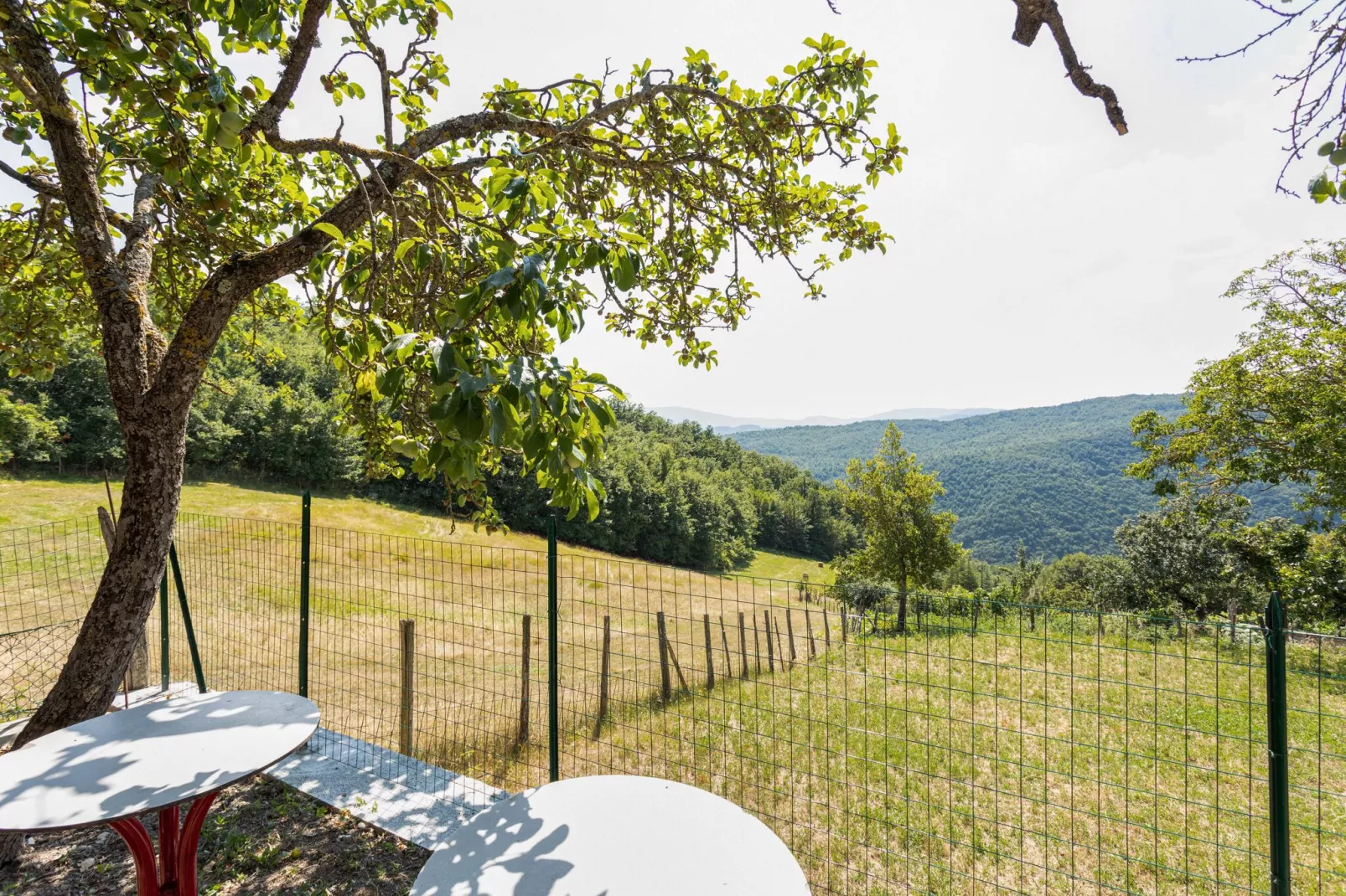 Casa Andrea-Gardens summer