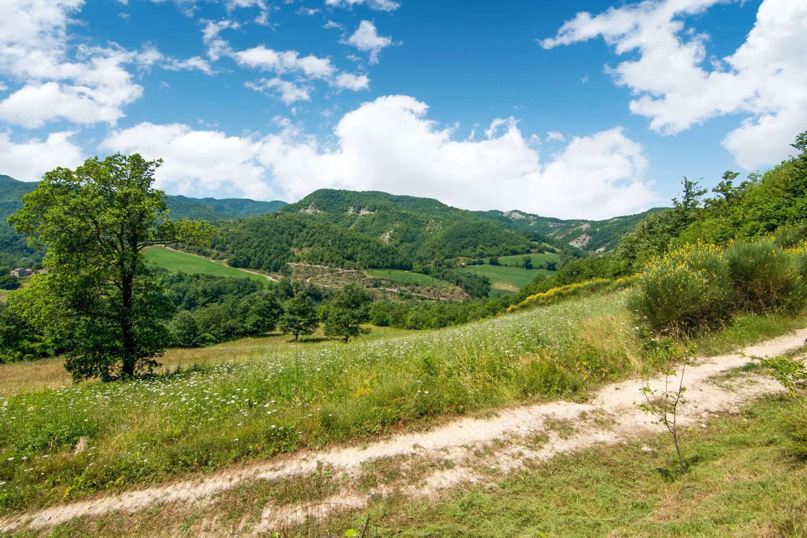Frigino-Zones d'été à 1 km