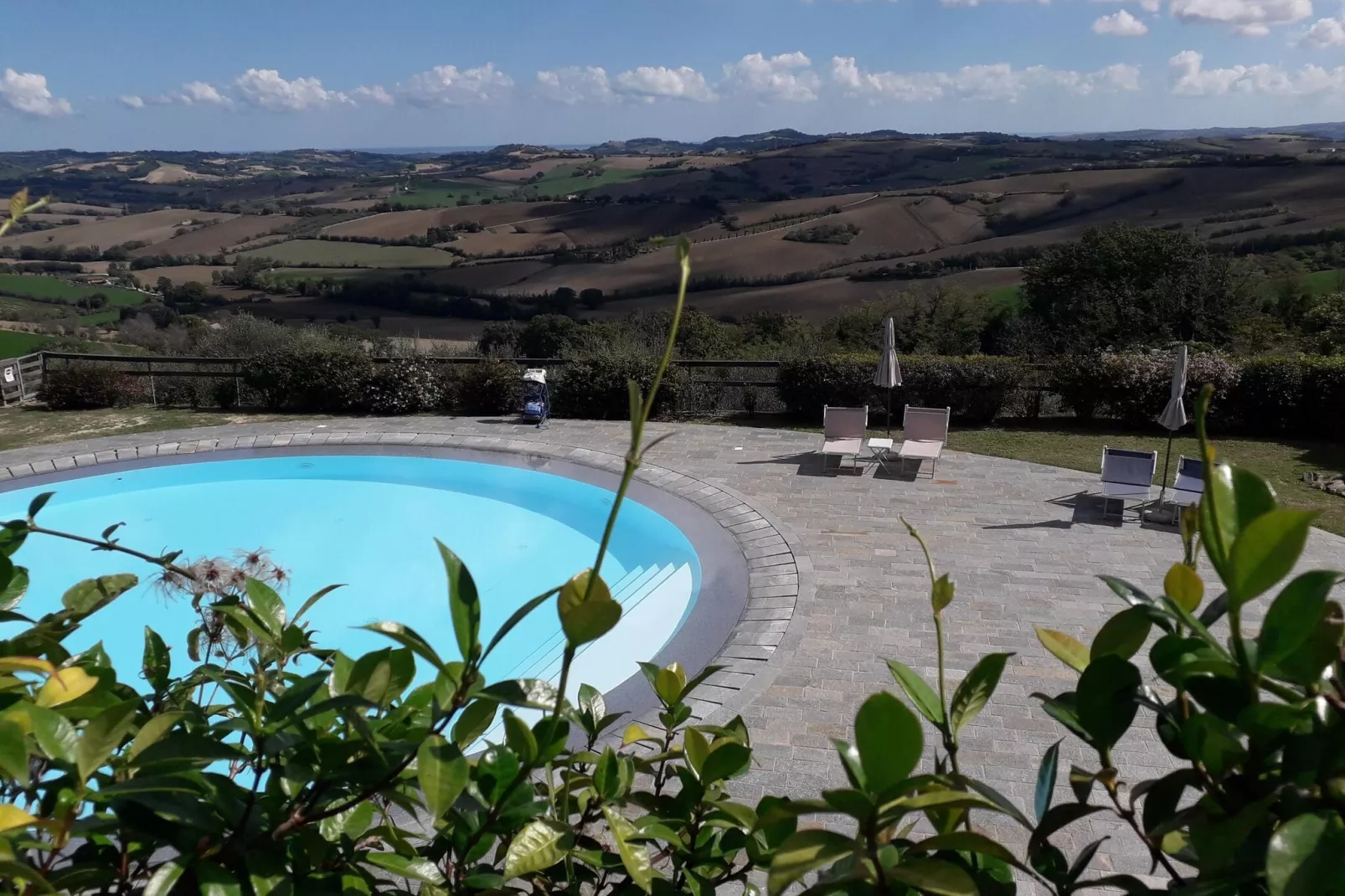 Rosa&Lavanda-Pool