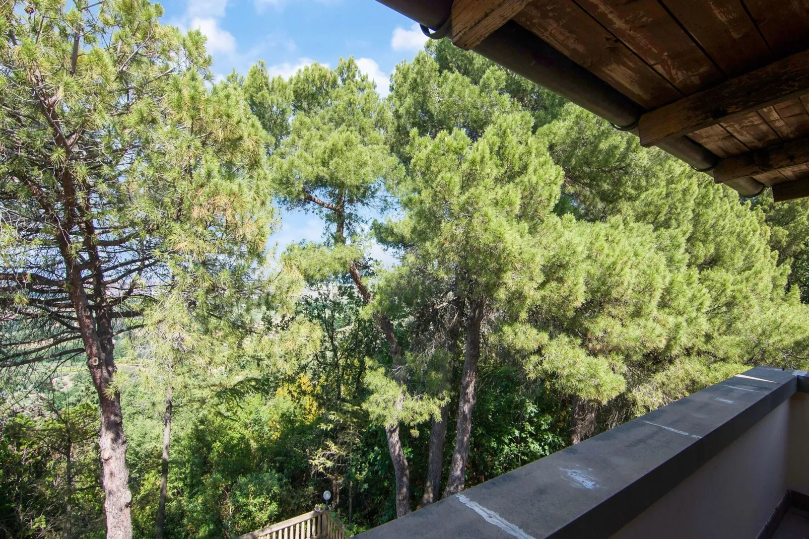 Villa Montegiove-View summer