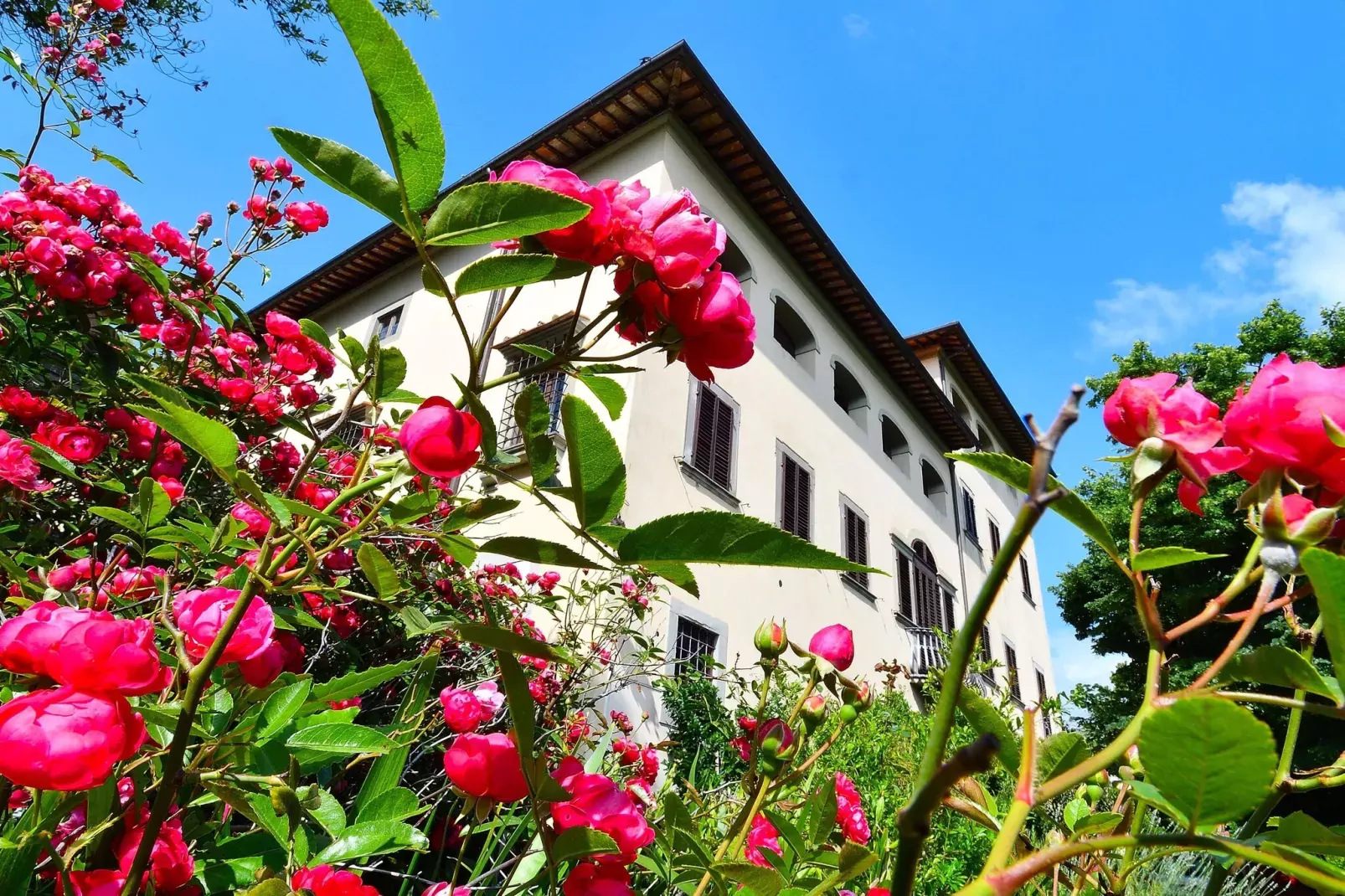 Villa Il Frassine-Extérieur été