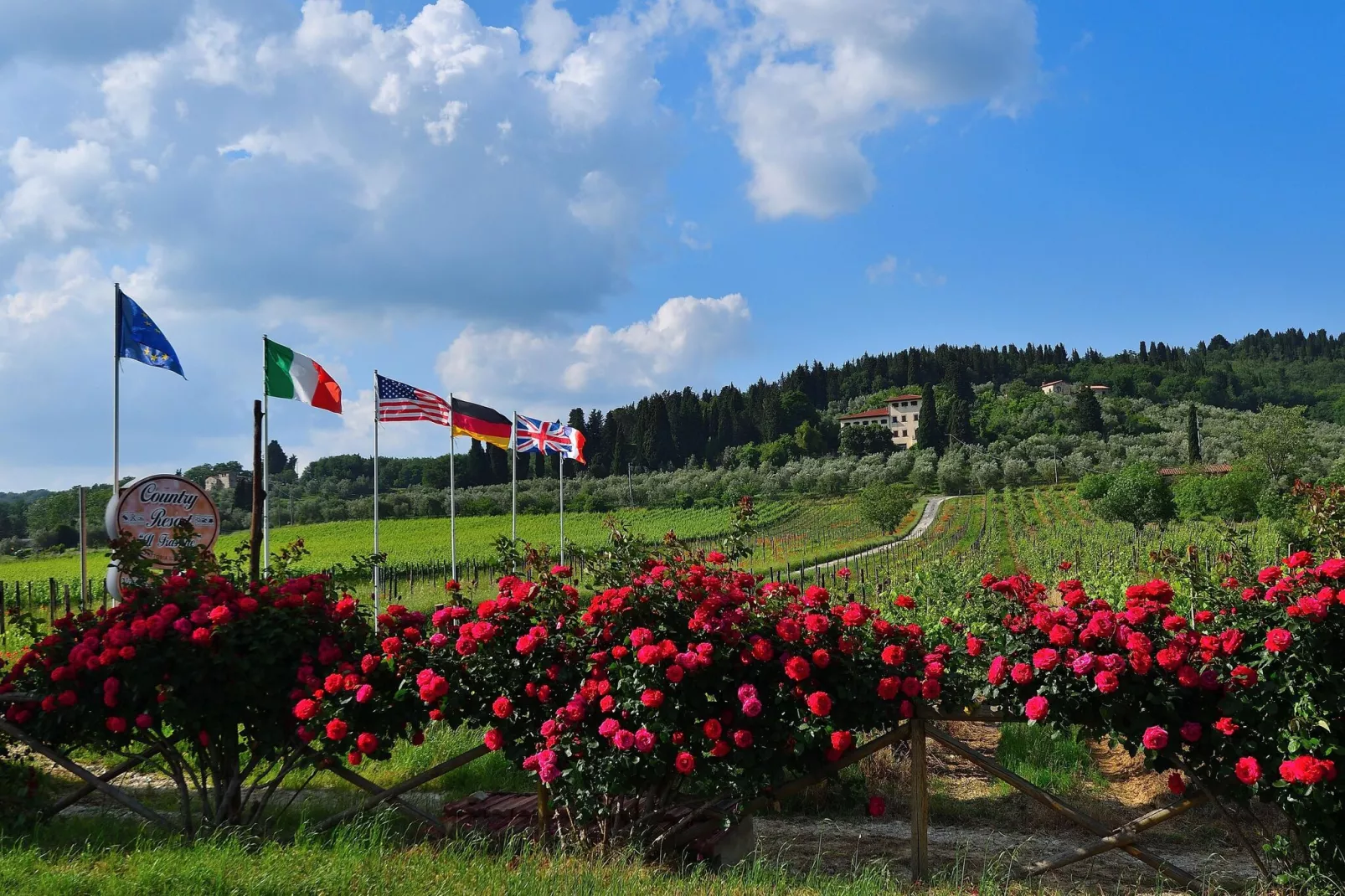 Villa Il Frassine-Vue d'été