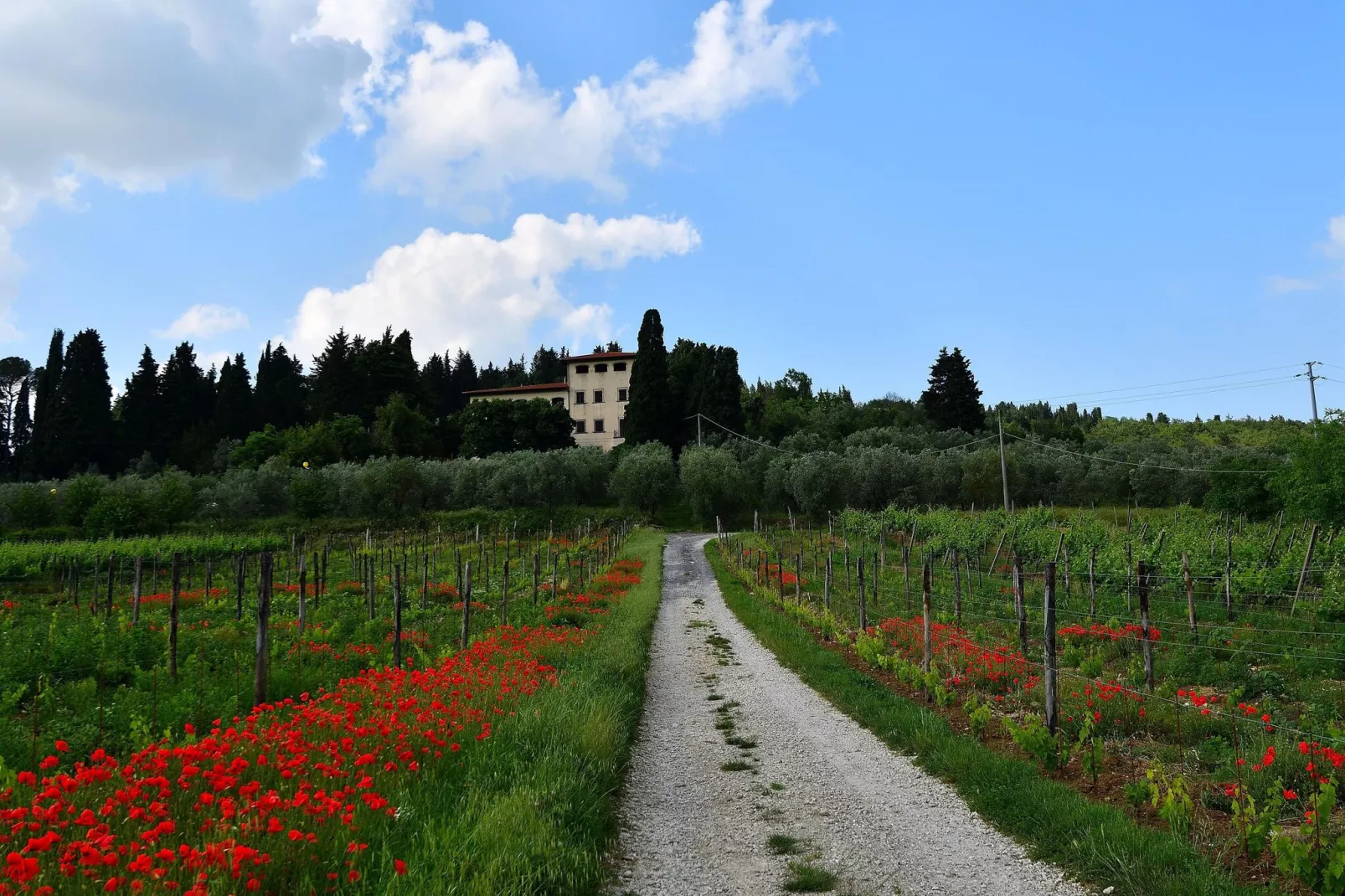 Villa Il Frassine-Vue d'été