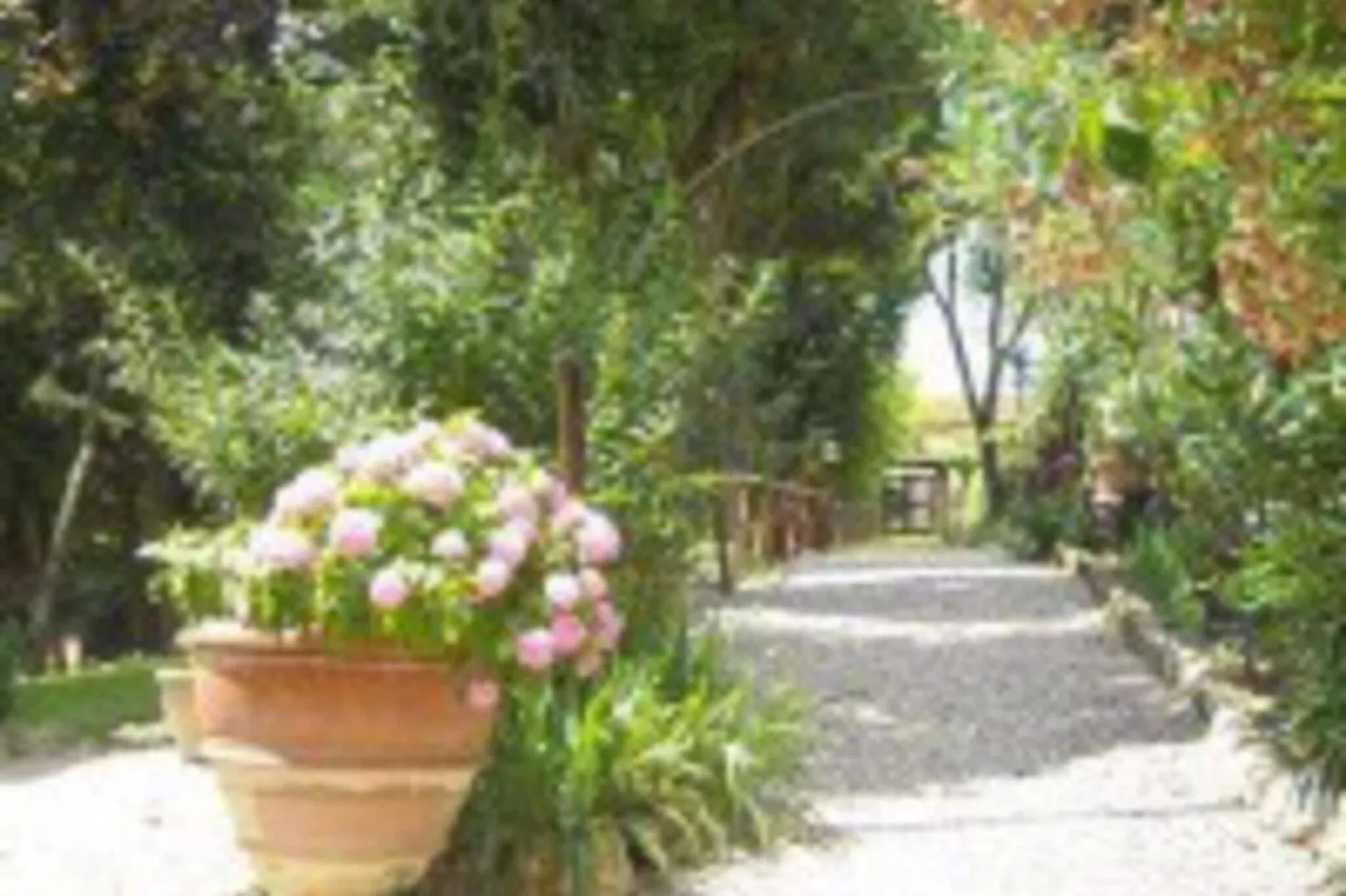 Villa Il Frassine-Jardin d'été