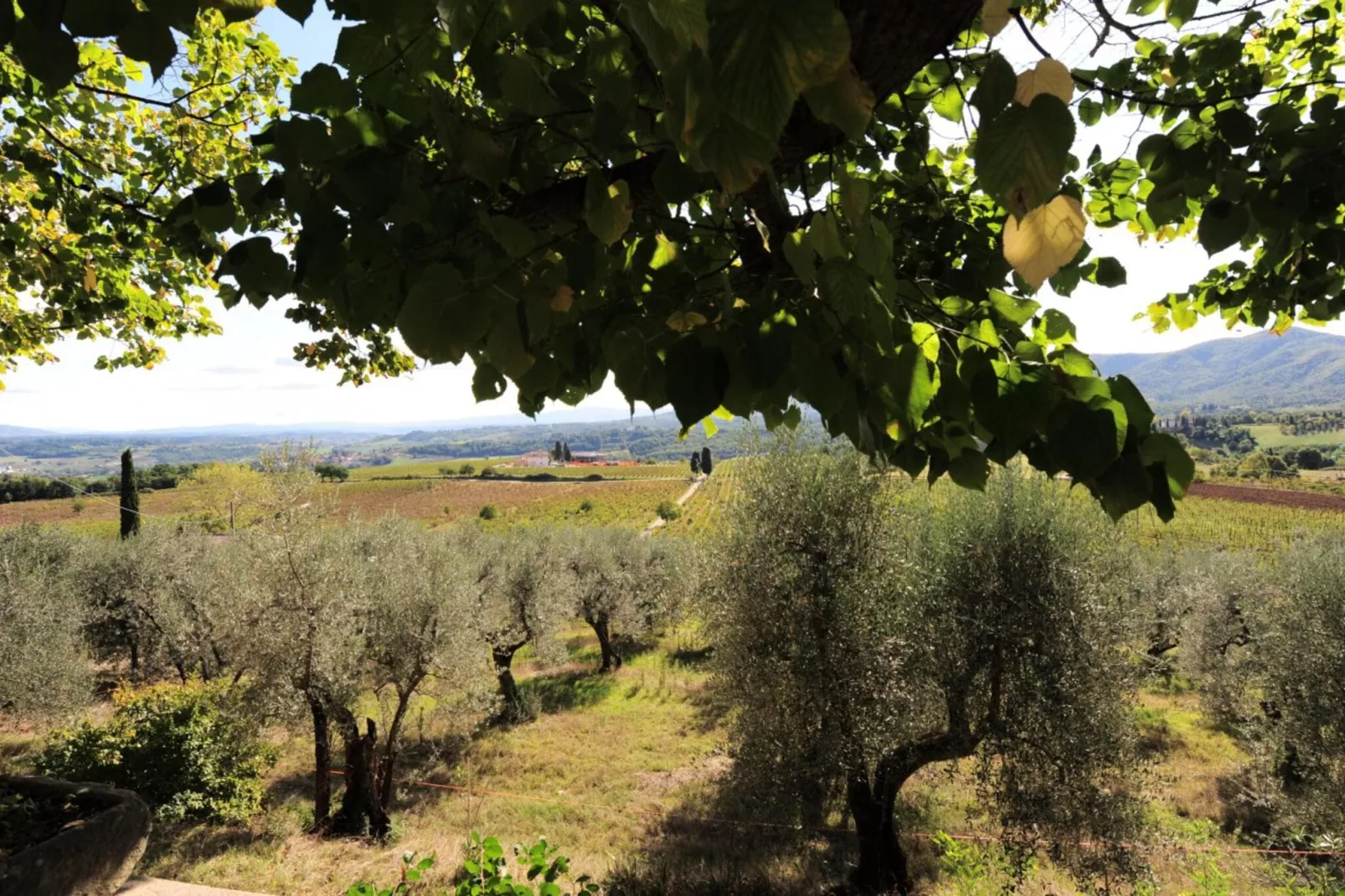 Villa Il Frassine-Vue d'été