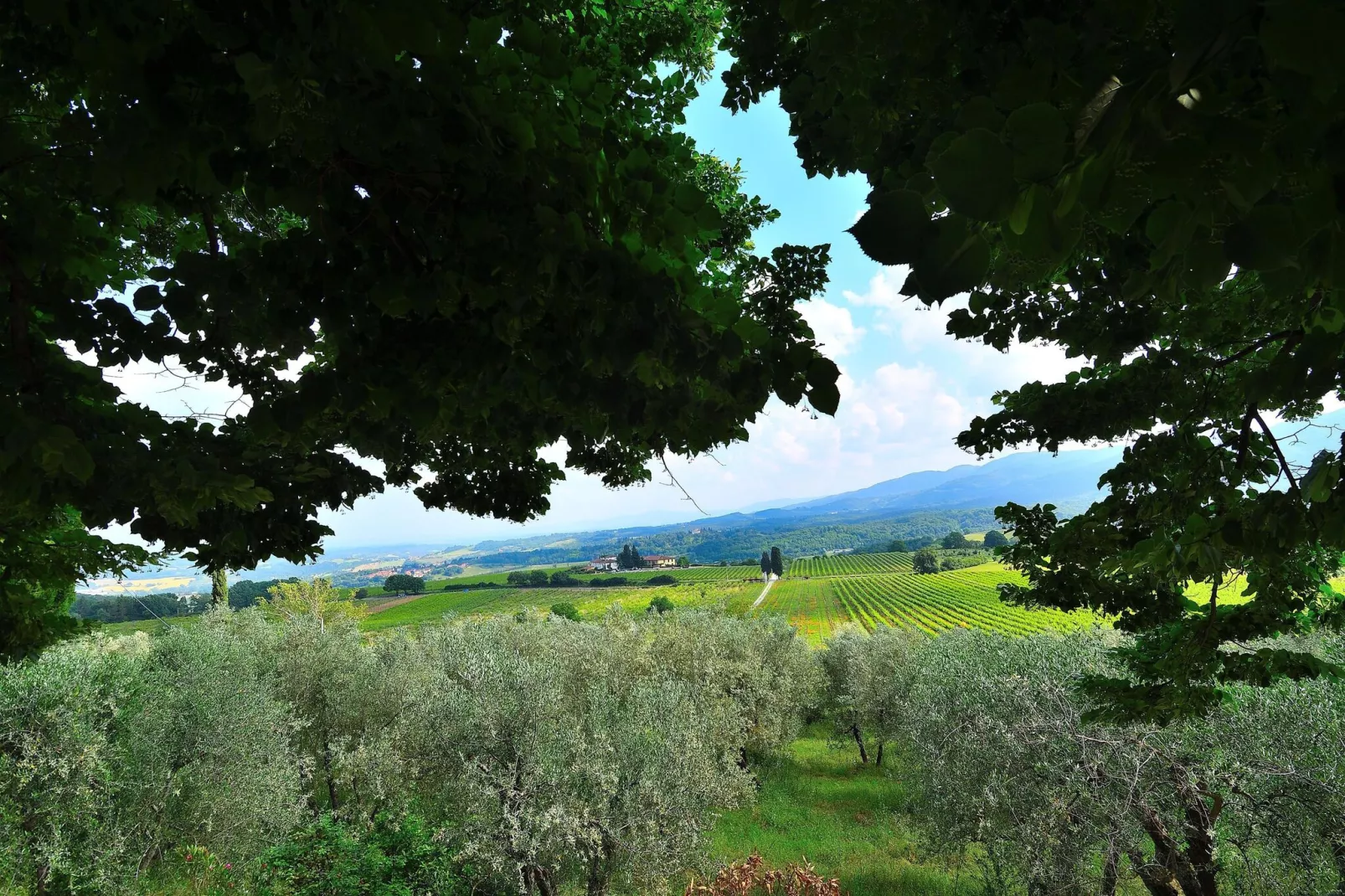 Villa Il Frassine-Vue d'été