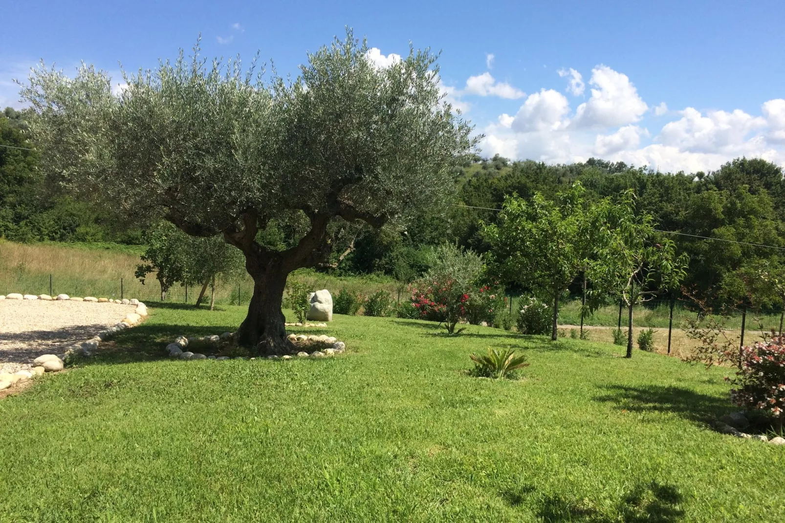Casa Picciano-Gardens summer