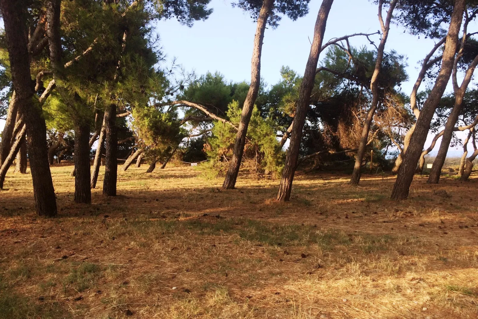 Casa Picciano-Areas summer 20km