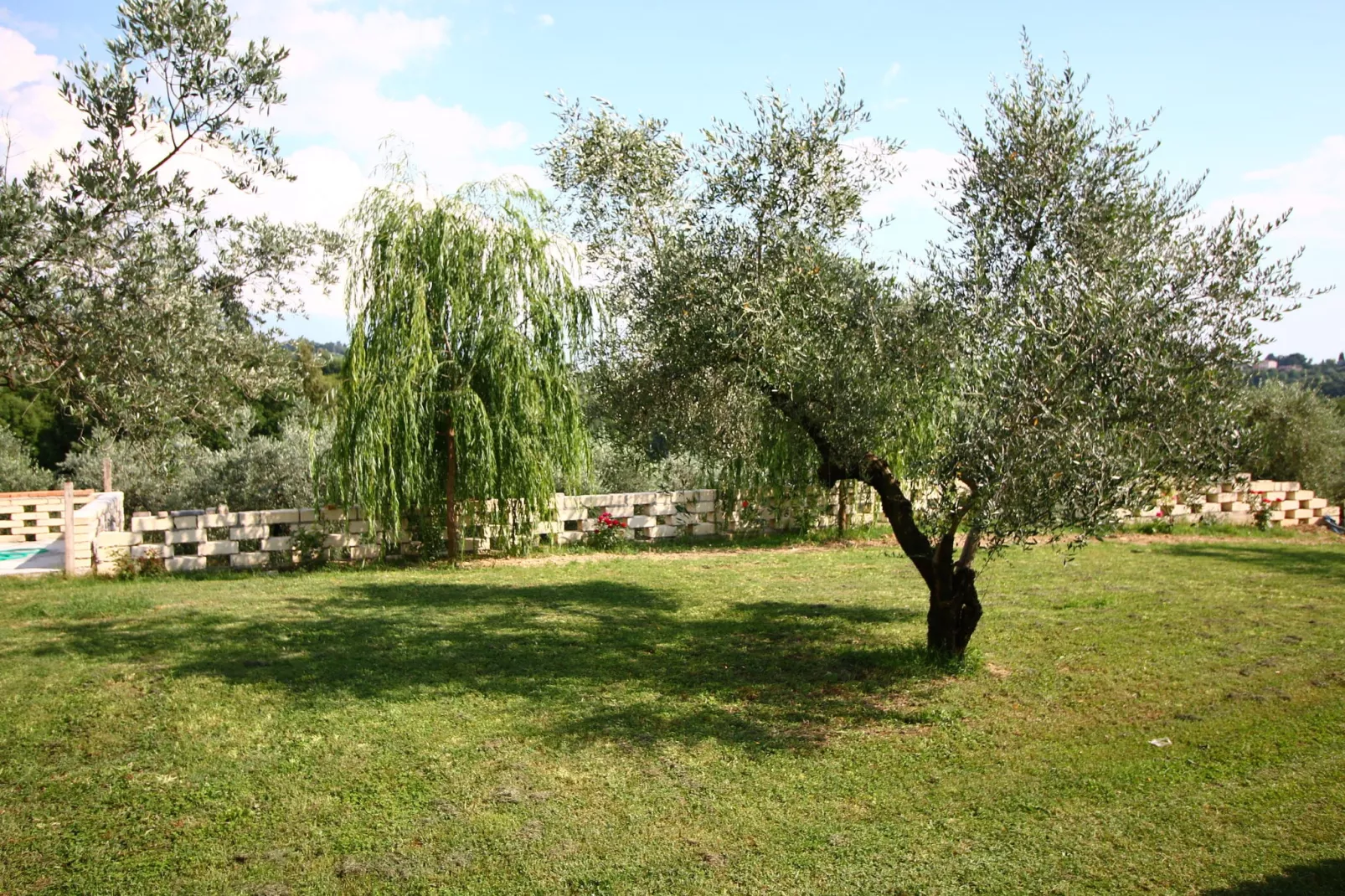 Pino-Gardens summer