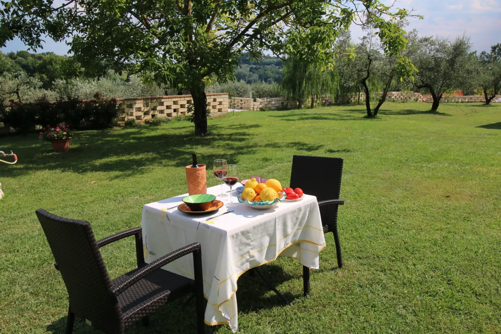 Pino-Gardens summer