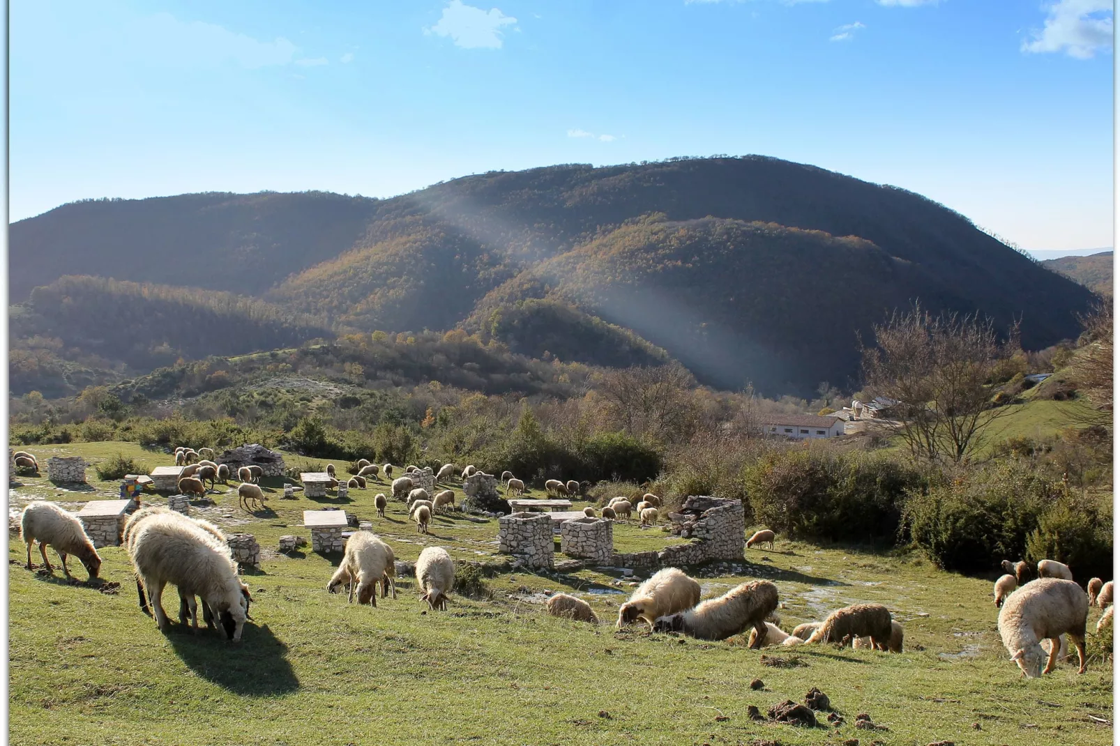 Pino-Areas summer 20km
