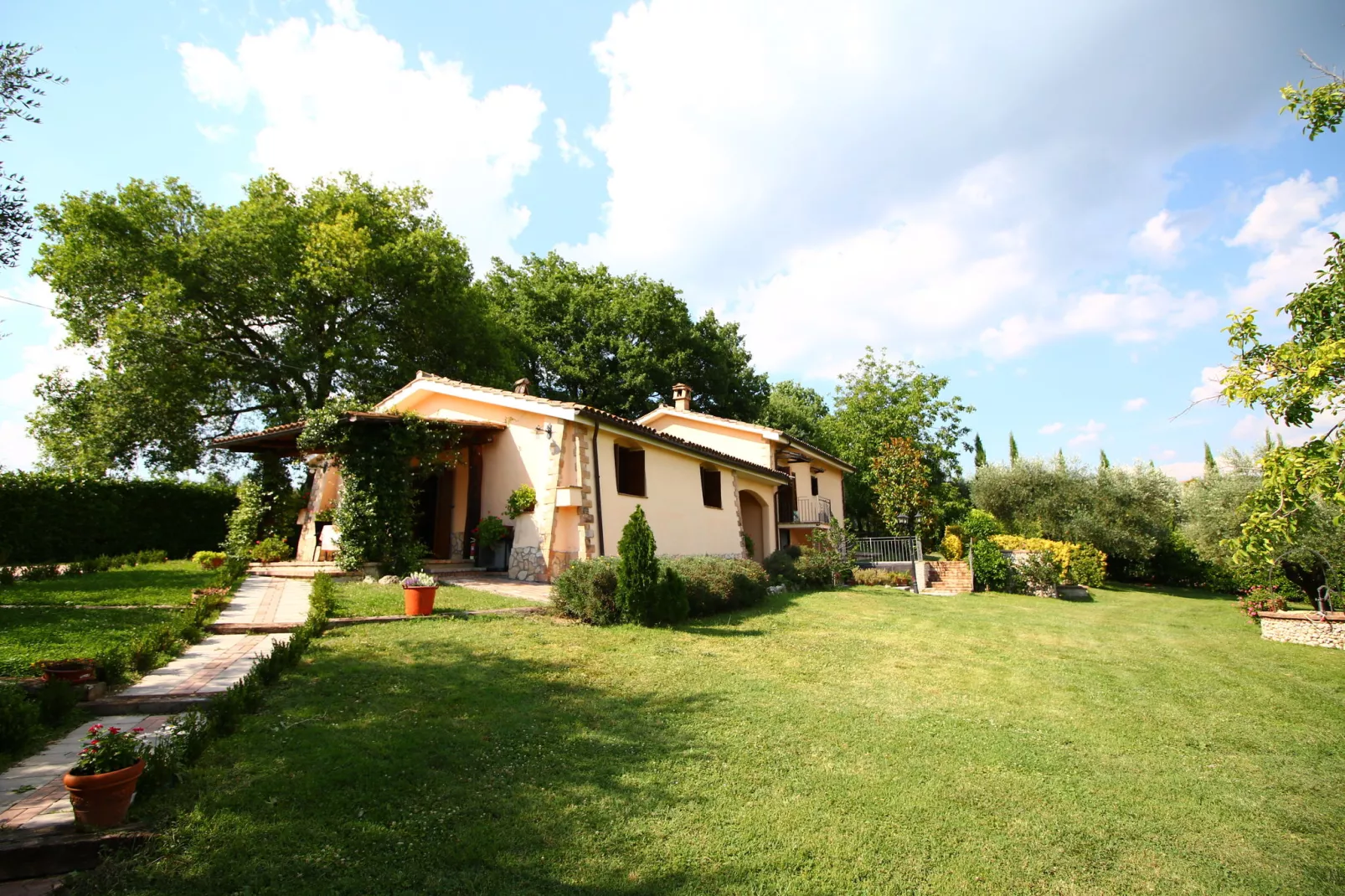 Pino-Exterior summer