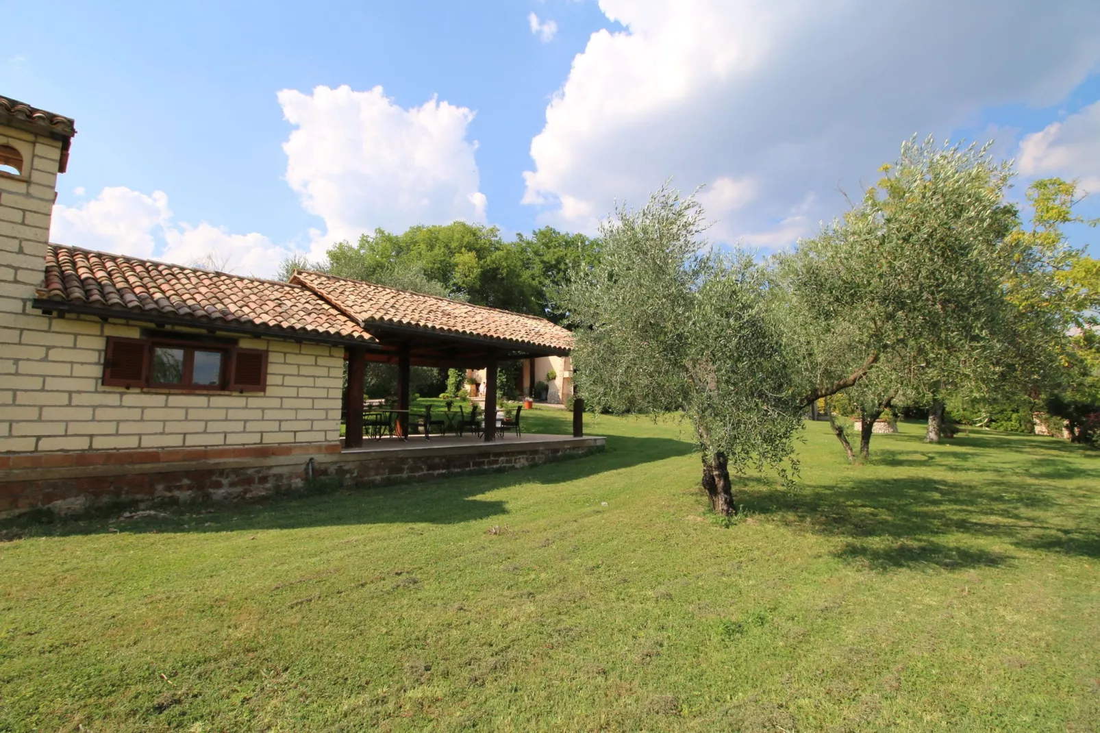 Ulivo-Gardens summer