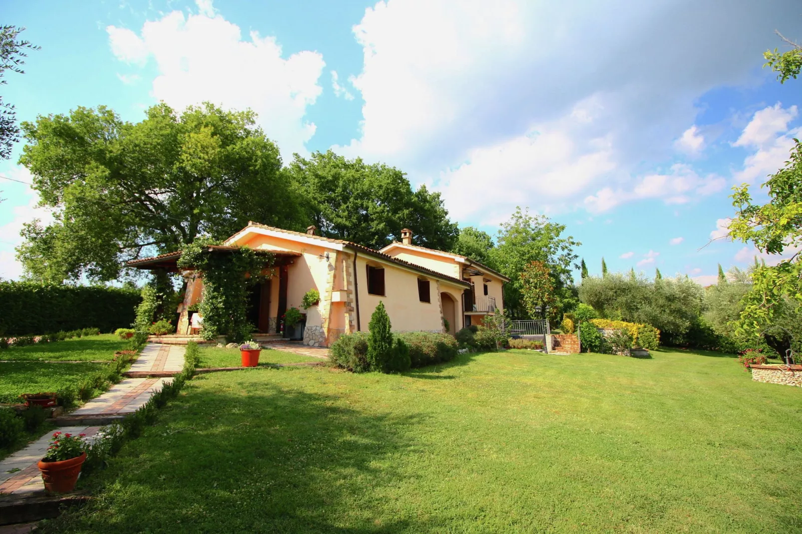 Ulivo-Exterior summer