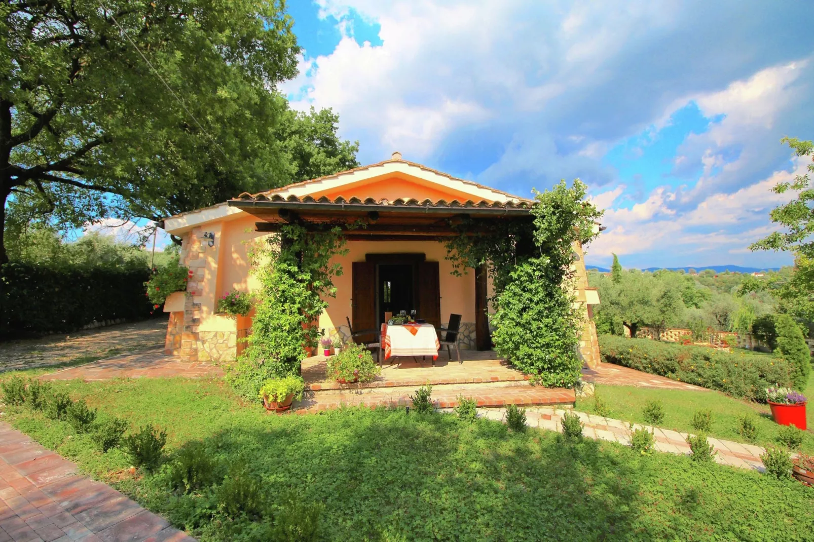 Ulivo-Exterior summer